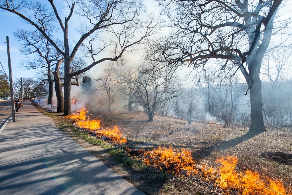 prescribed-burn-highpark.jpeg