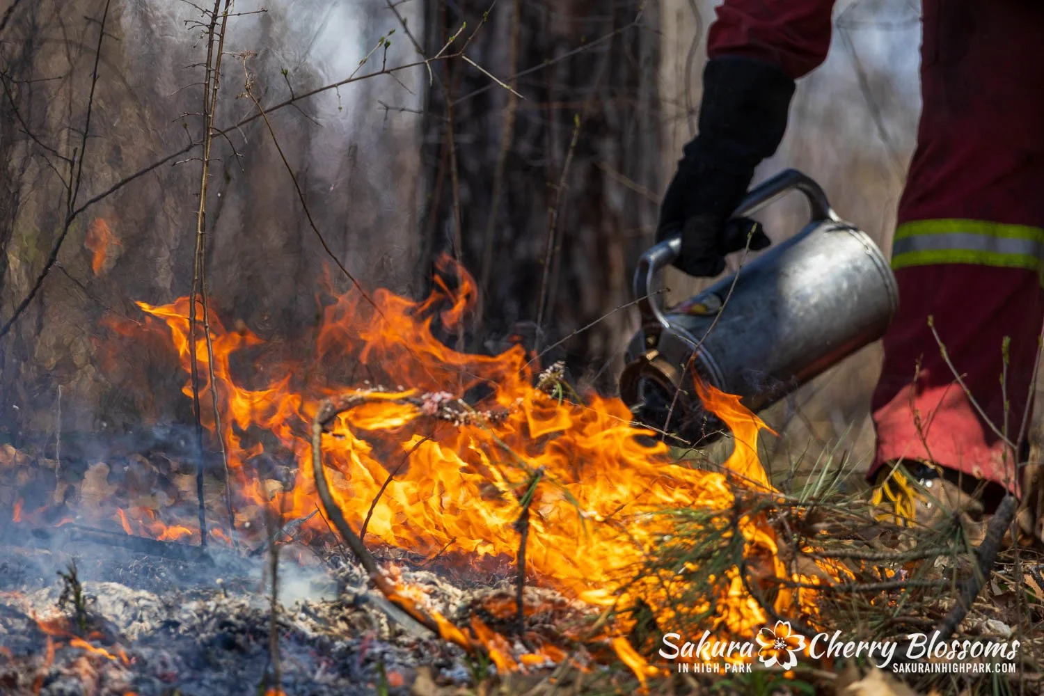Prescribed Burn April 23, 2025-53.jpg