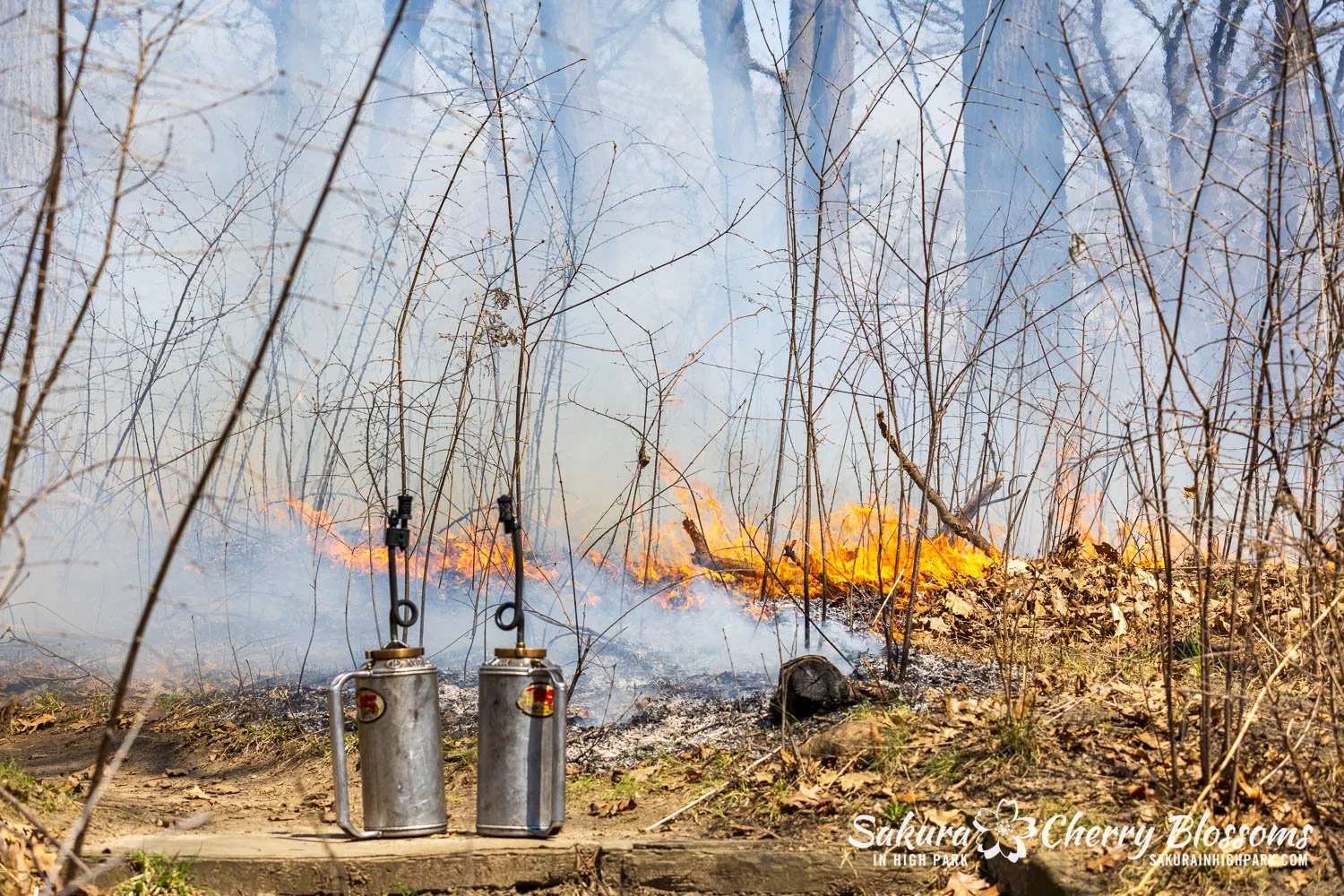 Prescribed Burn April 23, 2025-47.jpg