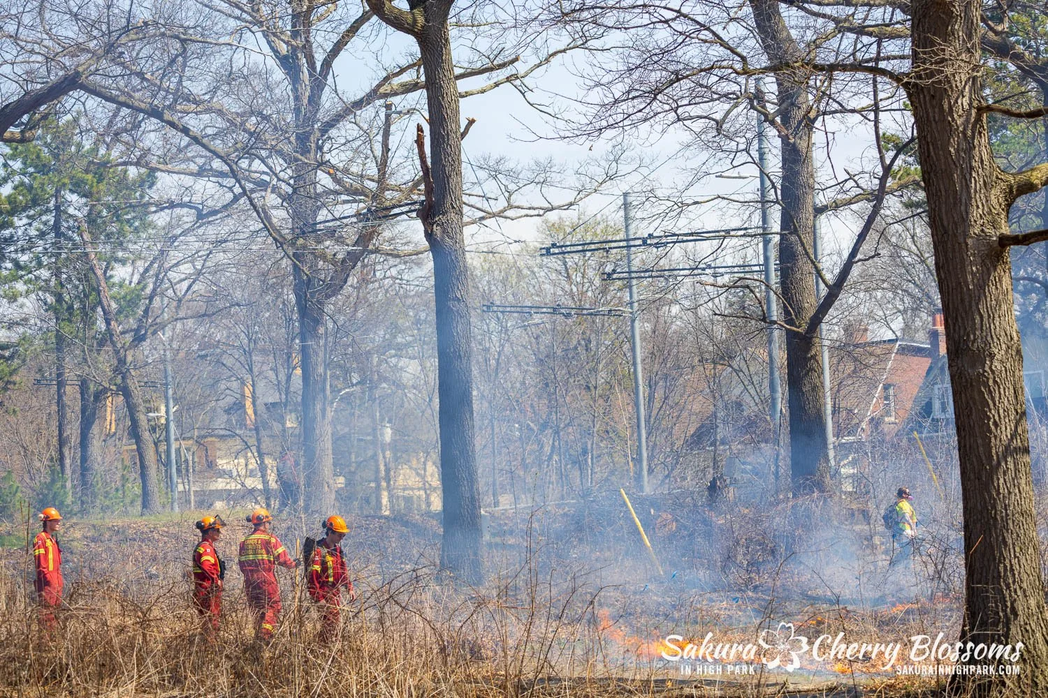 Prescribed Burn April 23, 2025-37.jpg