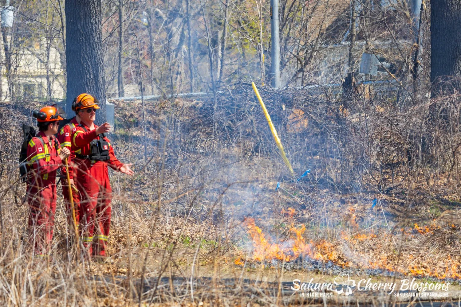 Prescribed Burn April 23, 2025-28.jpg