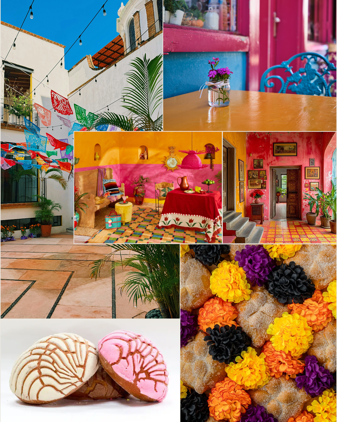 Chispita-BrandGuide2.png