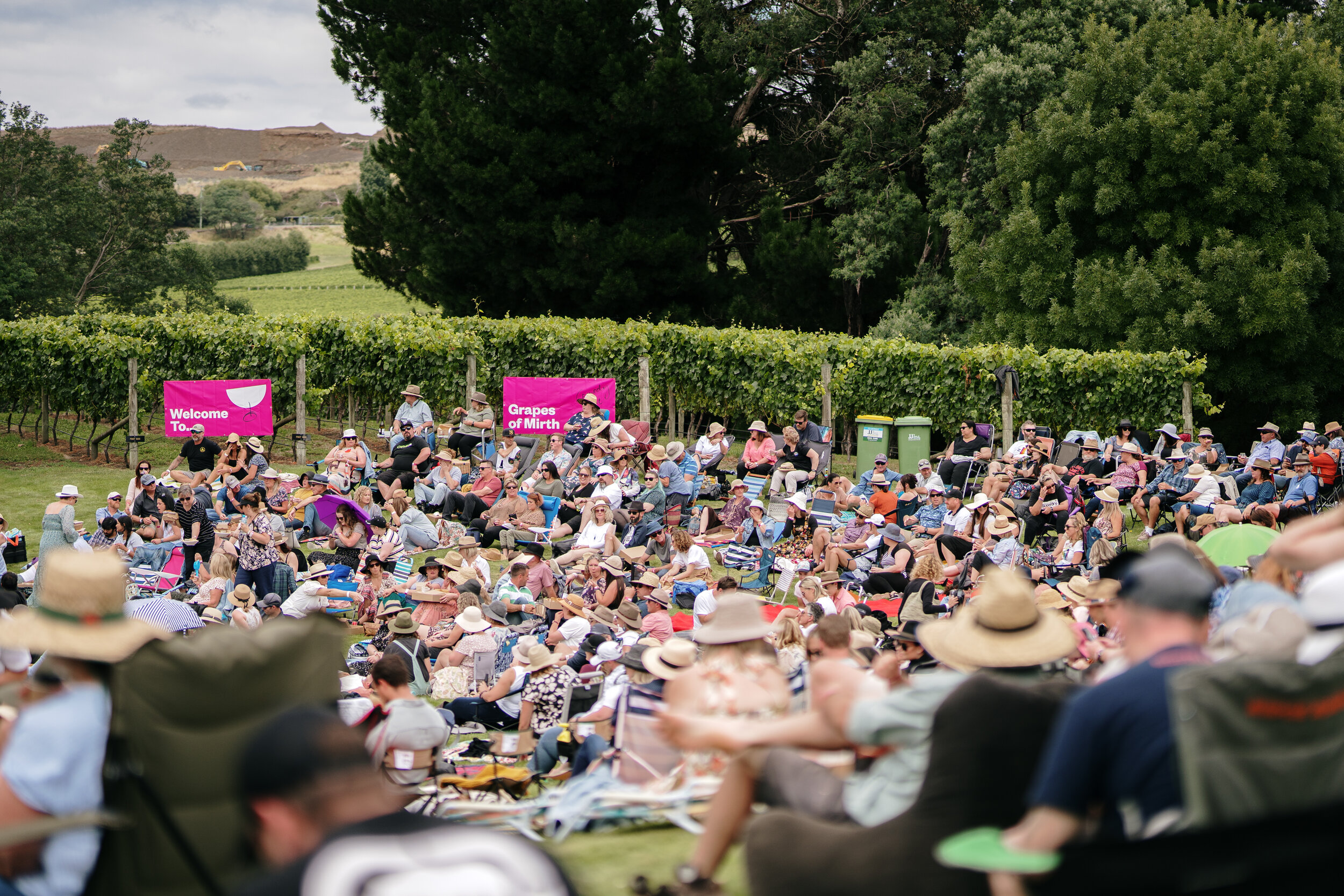 Grapes of Mirth Tasmania -5.jpg