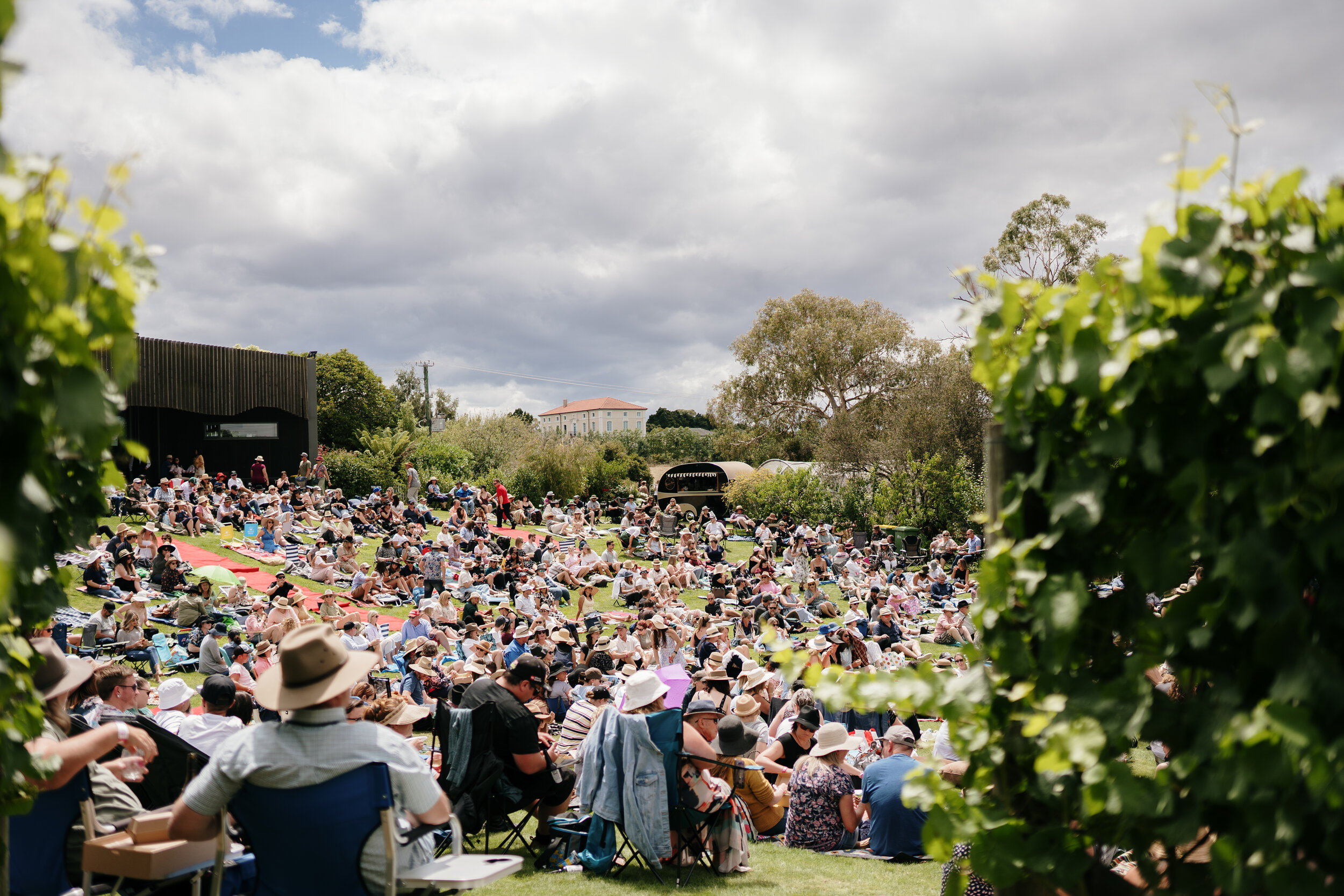 Grapes of Mirth Tasmania -9.jpg