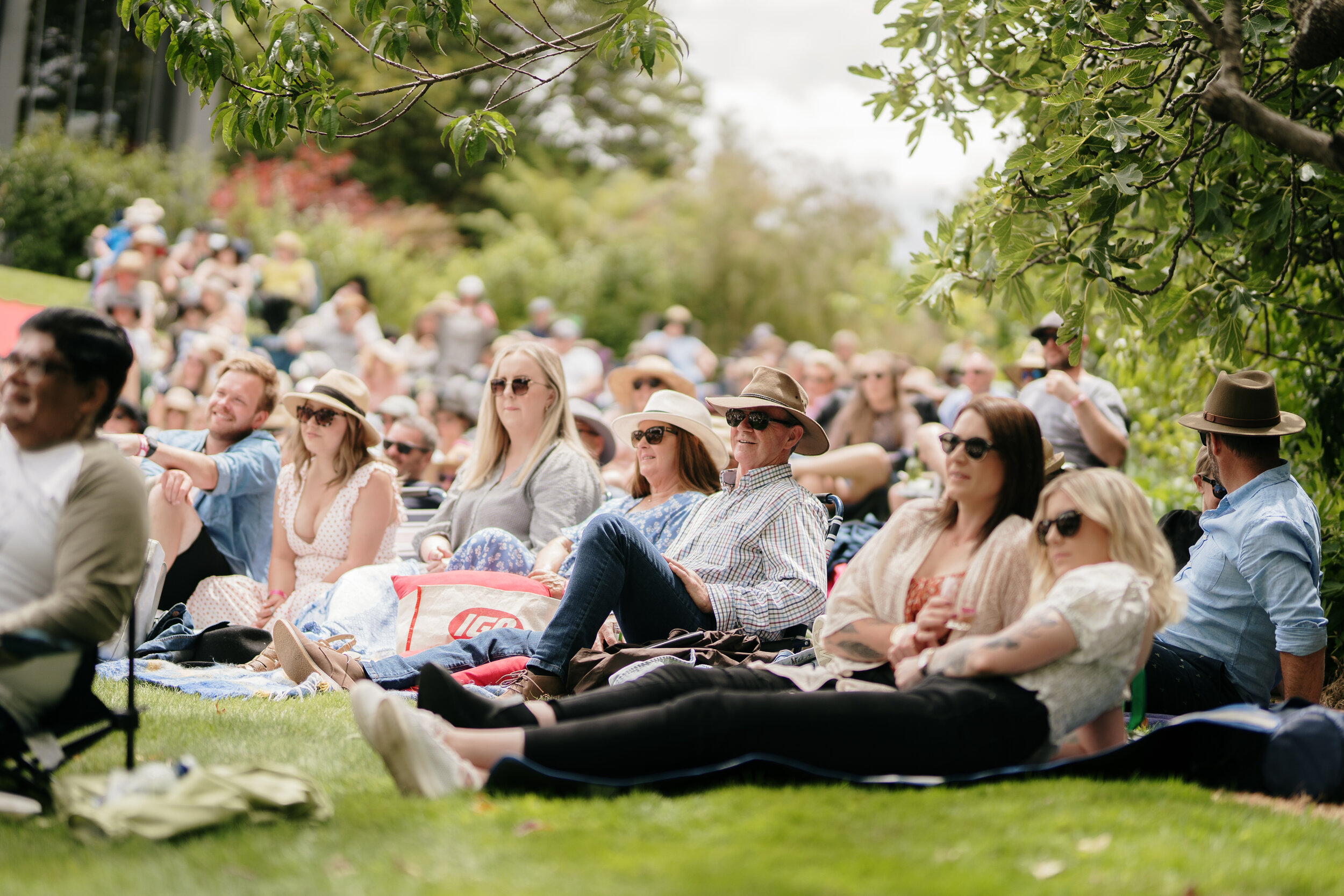 Grapes of Mirth Tasmania -38.jpg