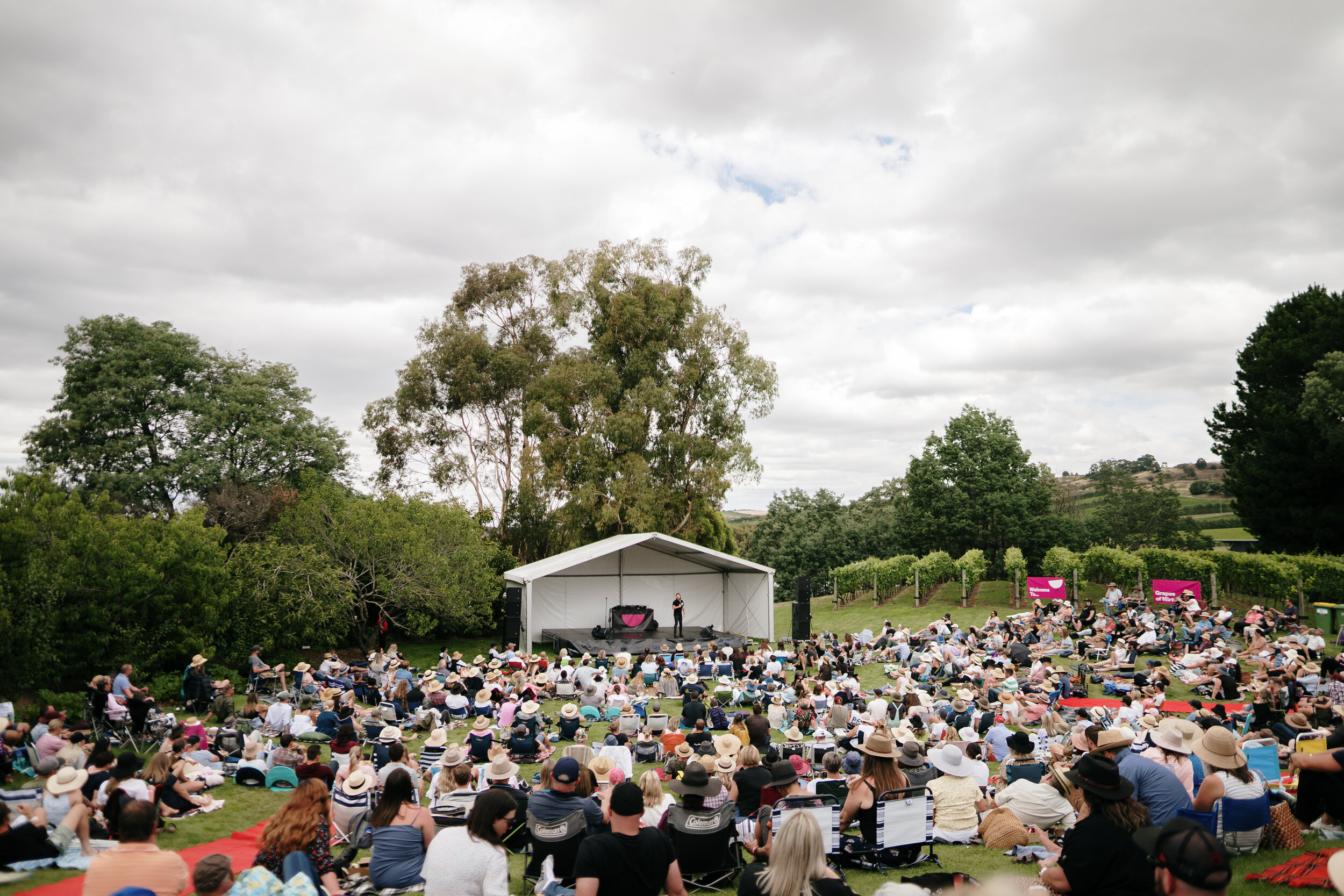 Grapes of Mirth Tasmania -49.jpg