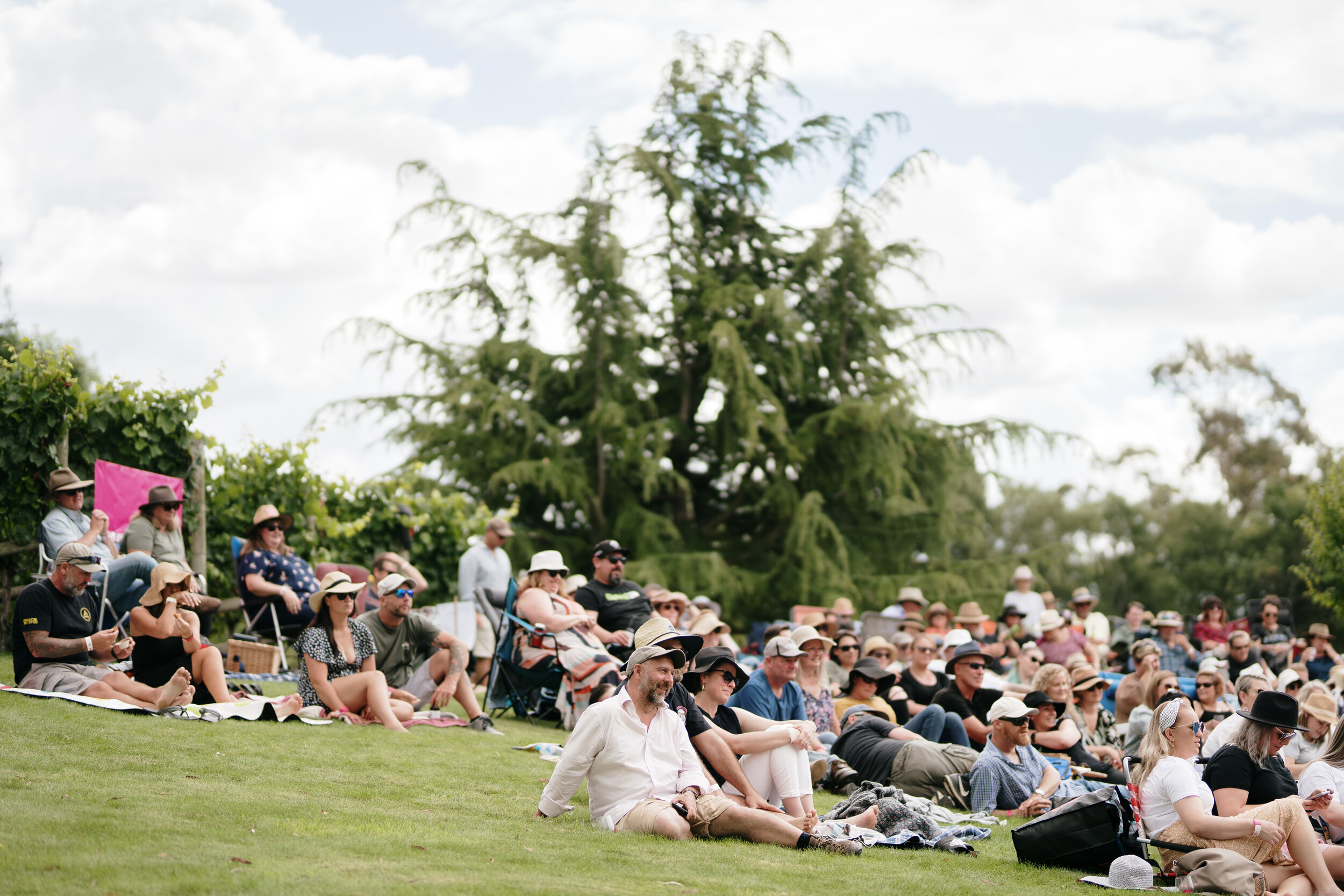 Grapes of Mirth Tasmania -105.jpg