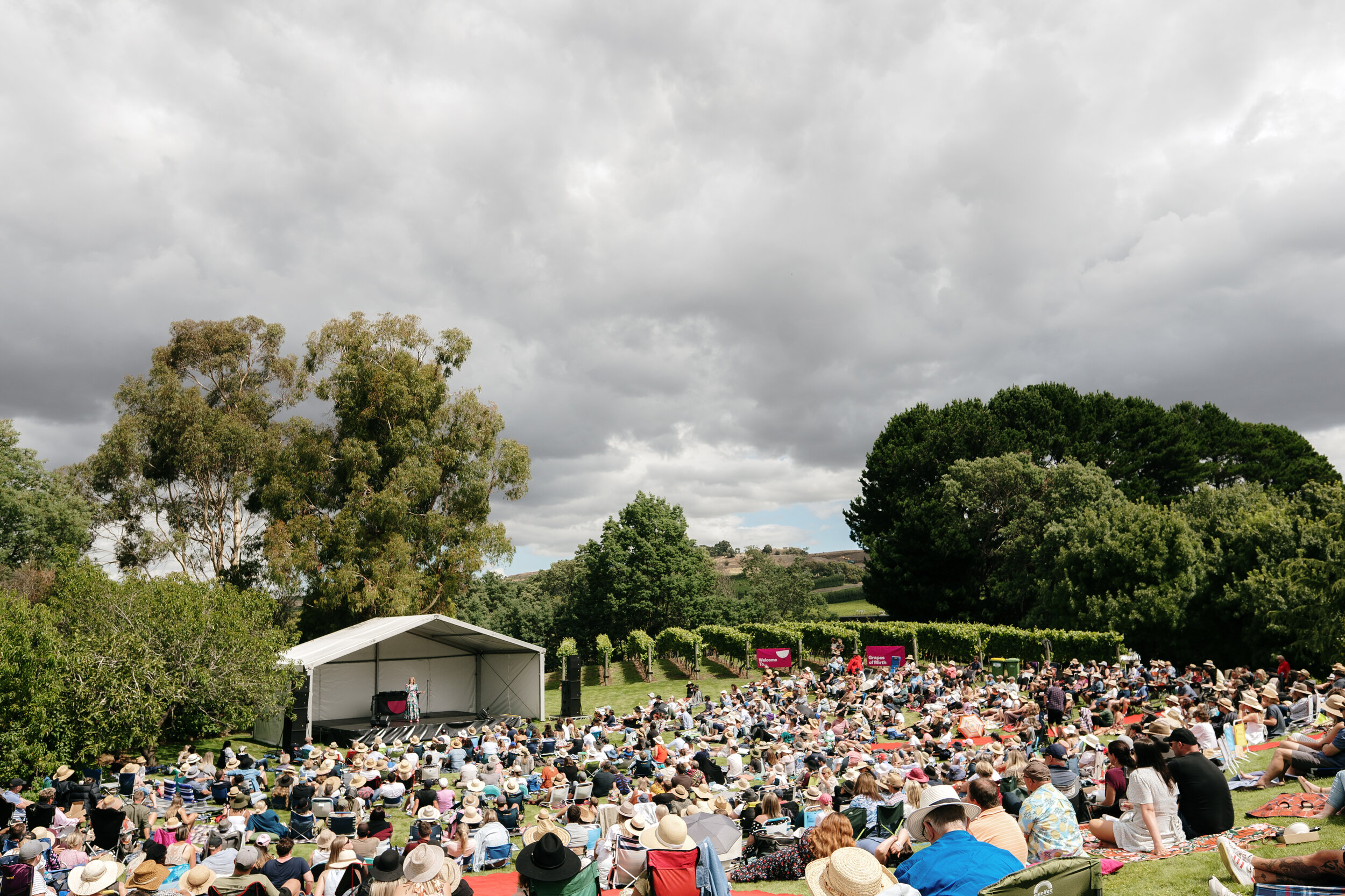 Grapes of Mirth Tasmania -119.jpg