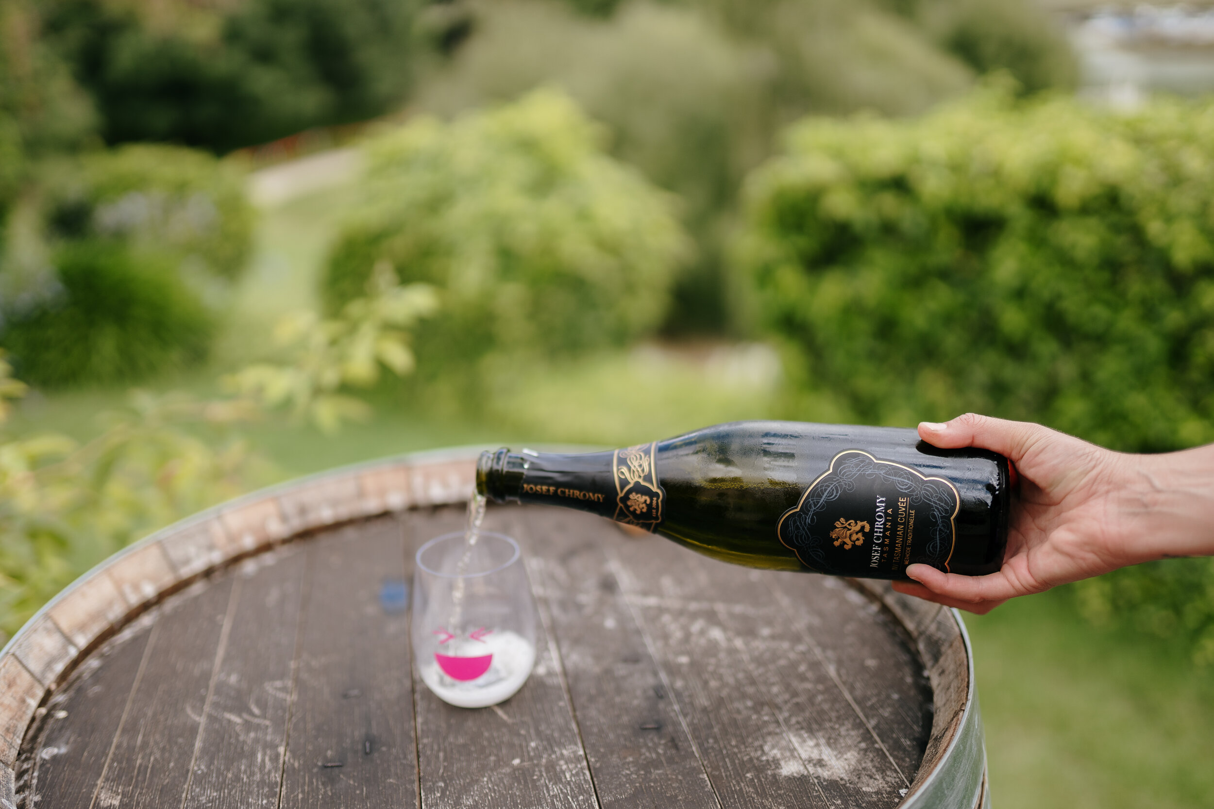 Grapes of Mirth Tasmania -138.jpg