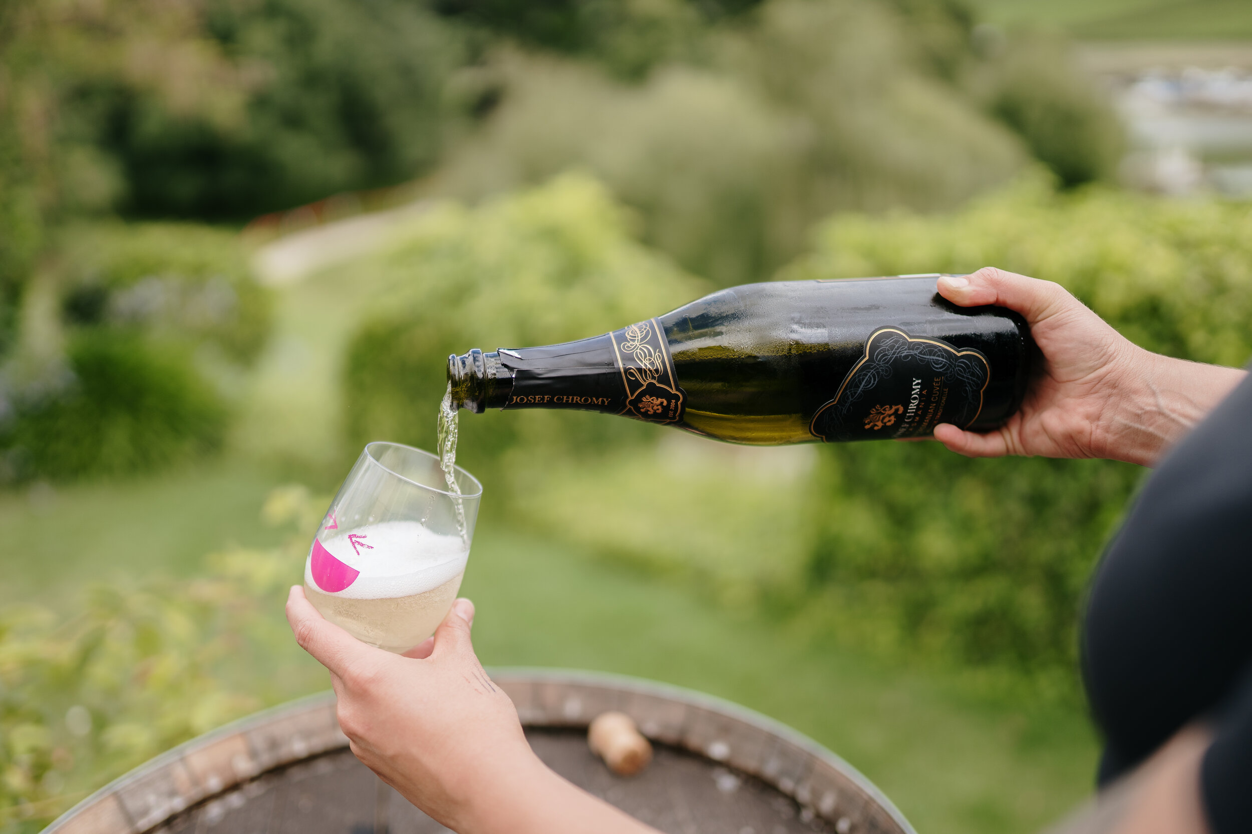 Grapes of Mirth Tasmania -140.jpg