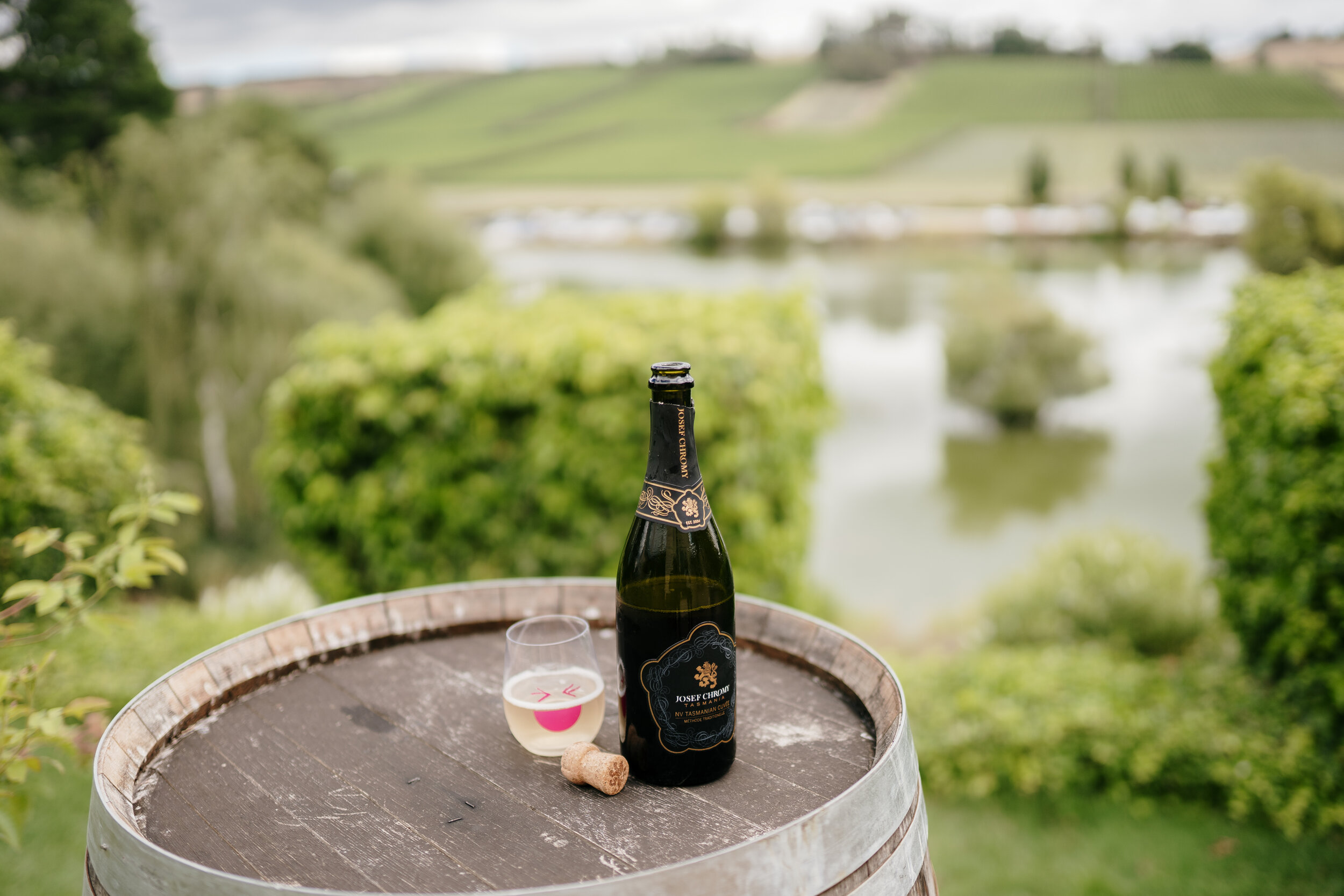 Grapes of Mirth Tasmania -141.jpg