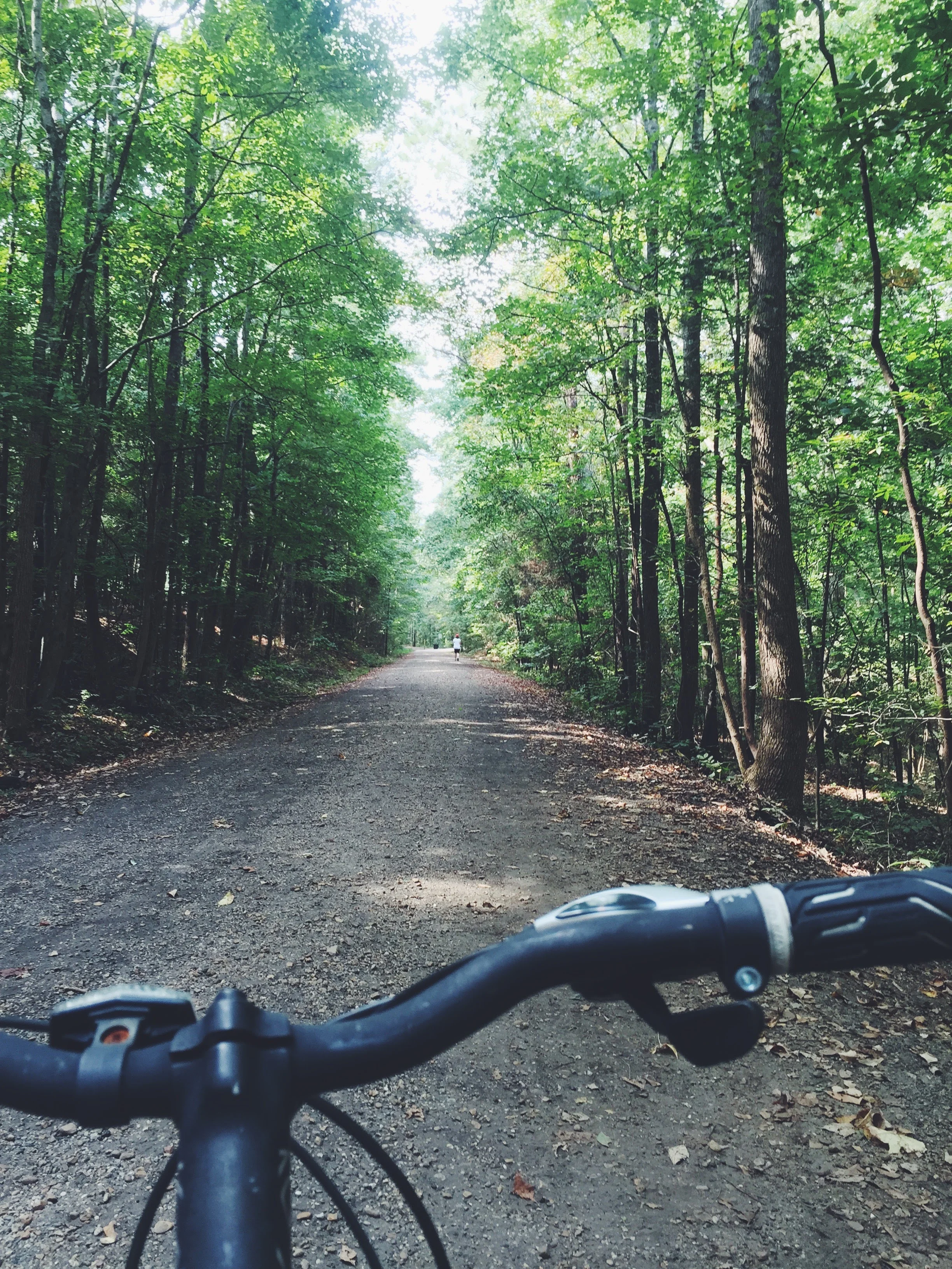 Parks and Recreation Make New Advances