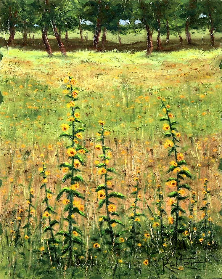 Sunflowers In The Meadow