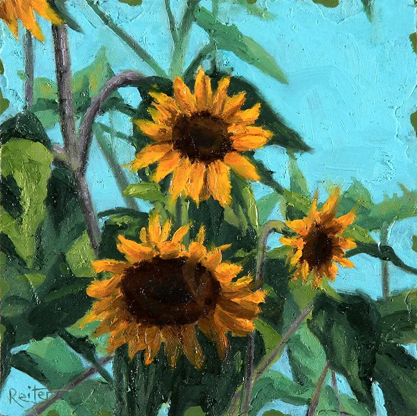 Sunflower Delight I (1)