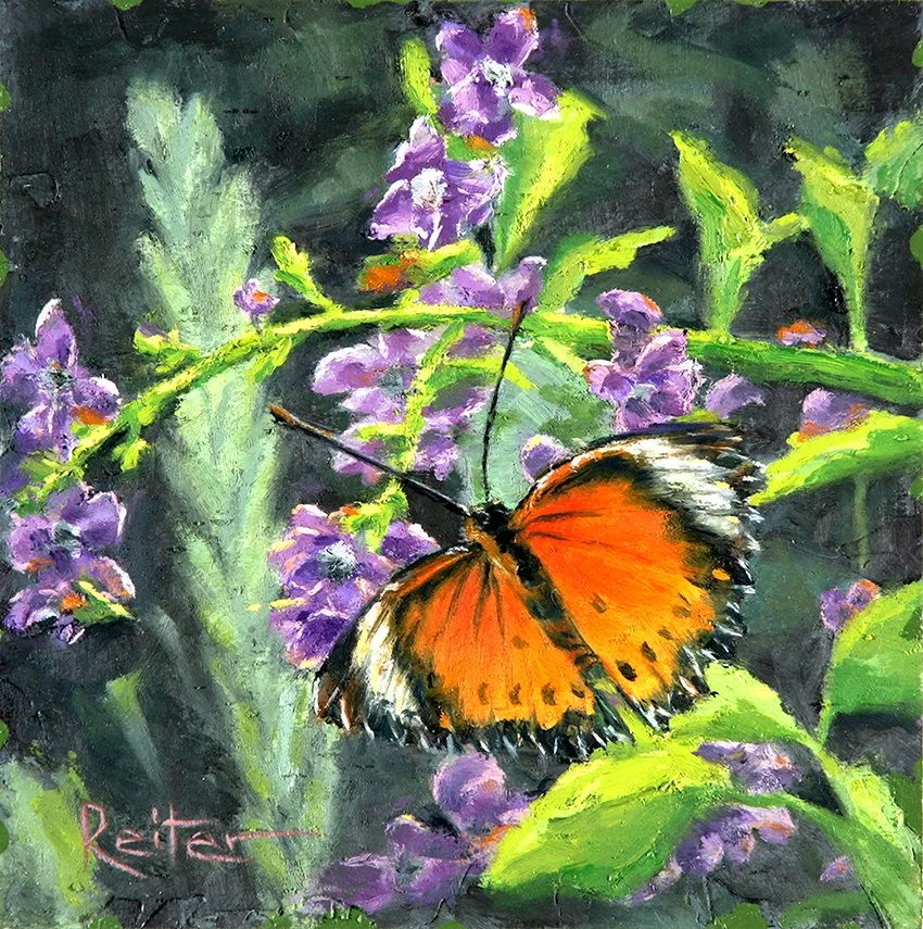Butterflies I (1)