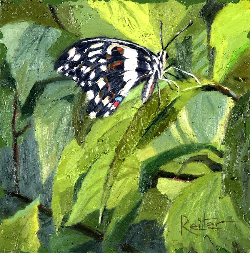 Butterflies II (2)