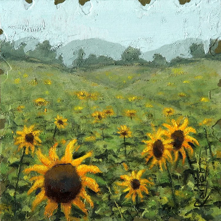 Sunflower Joy XIII (13)