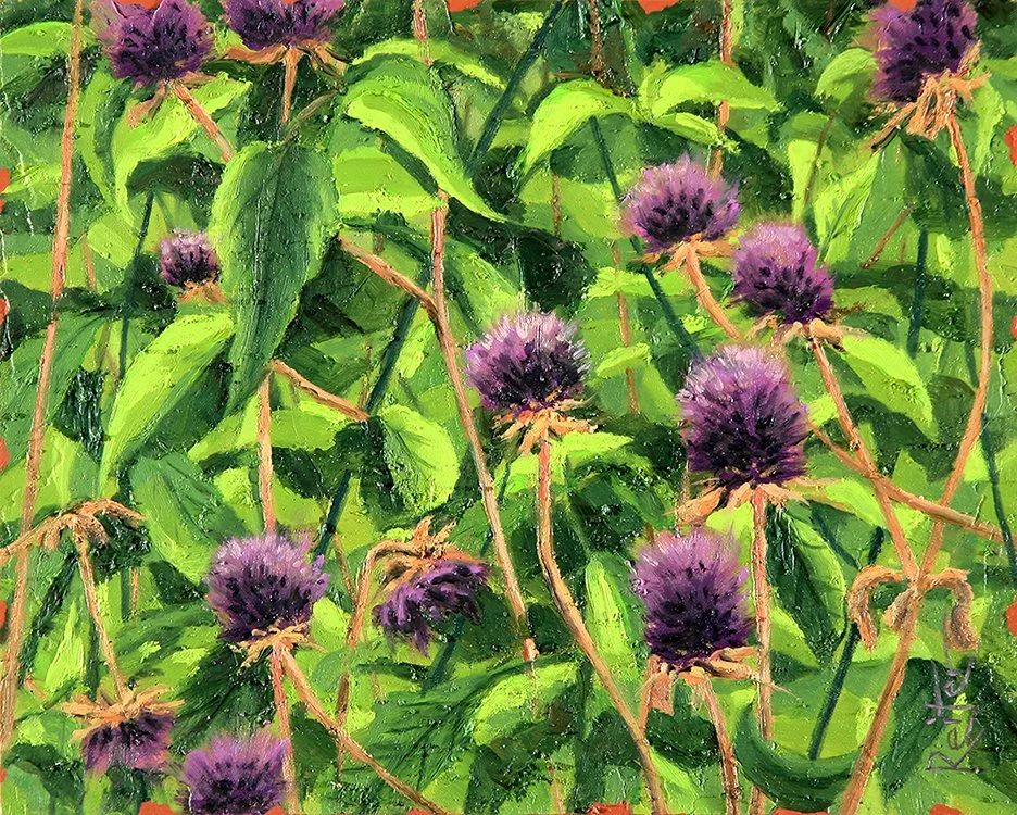 Colorful Blooms