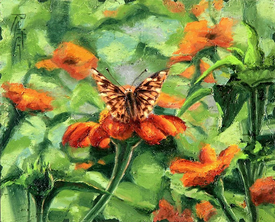Hidden Butterfly