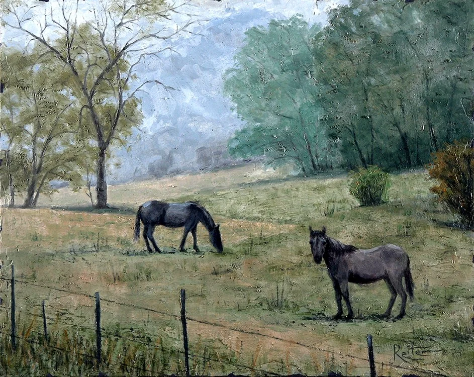 Horses In the Fog
