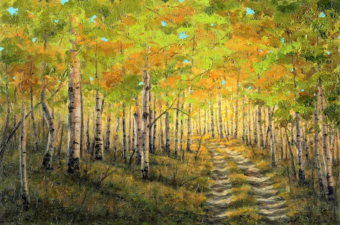 Canopy of Color