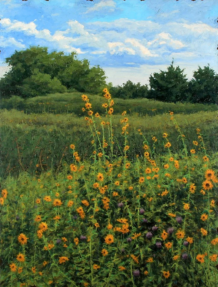 Sunflower Moments