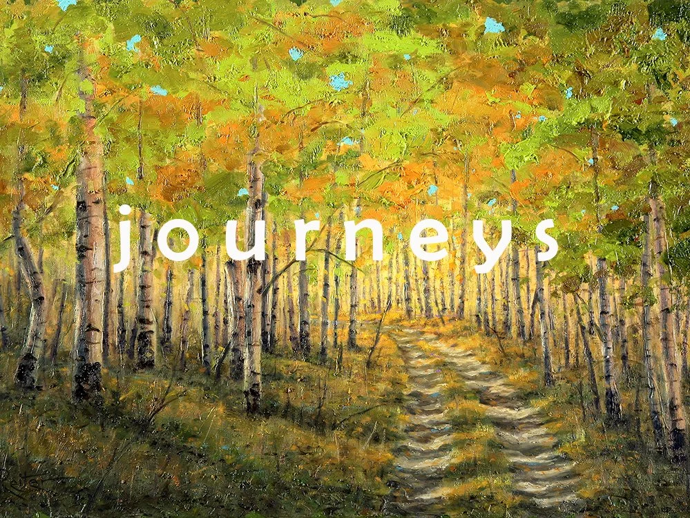 Canopy of Color (journeys).jpg