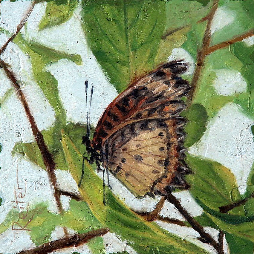 Butterflies III (3)