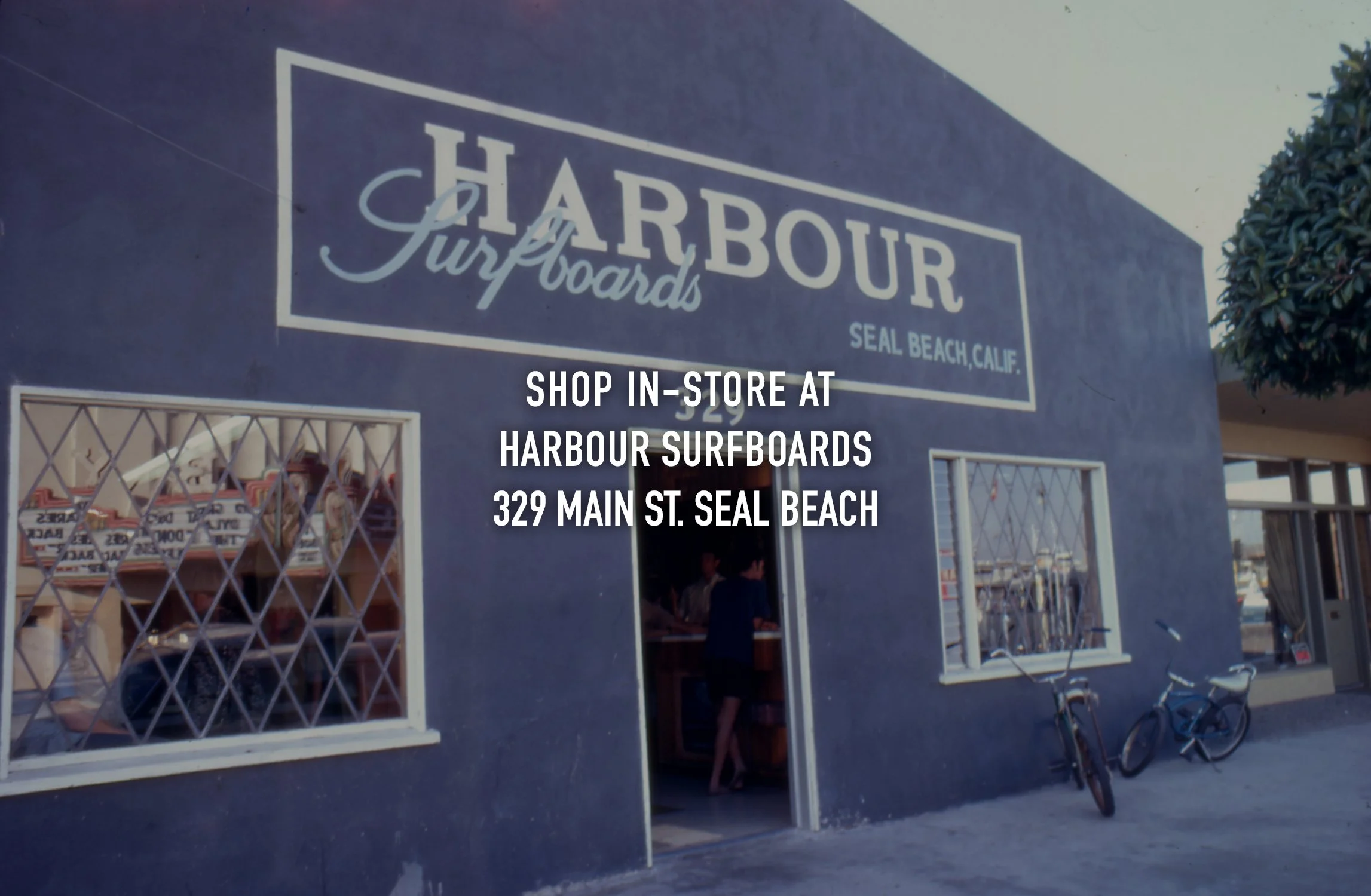 SEAL.HARBOUR [WEB.HEADER.11].jpg