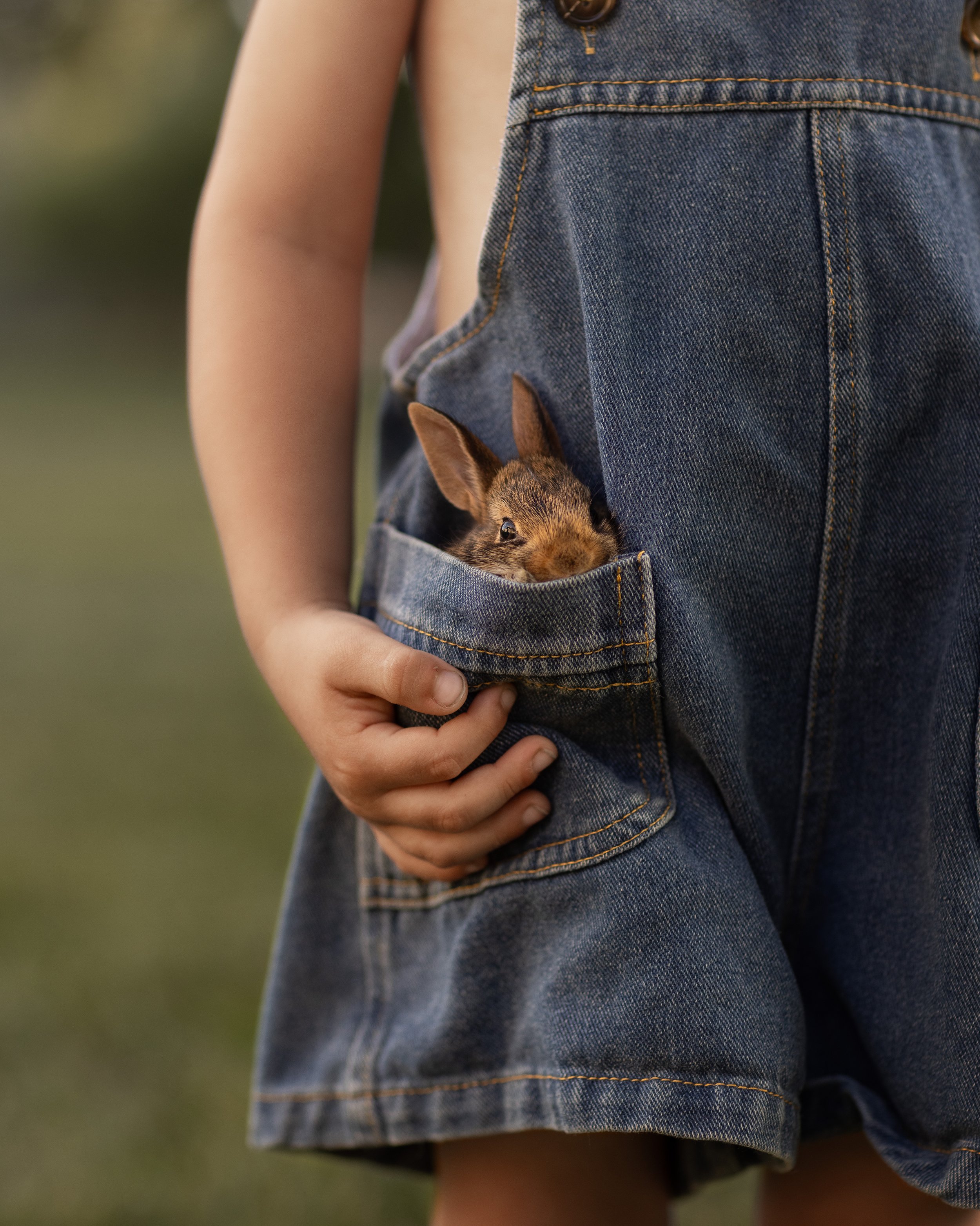 thumper1.jpg