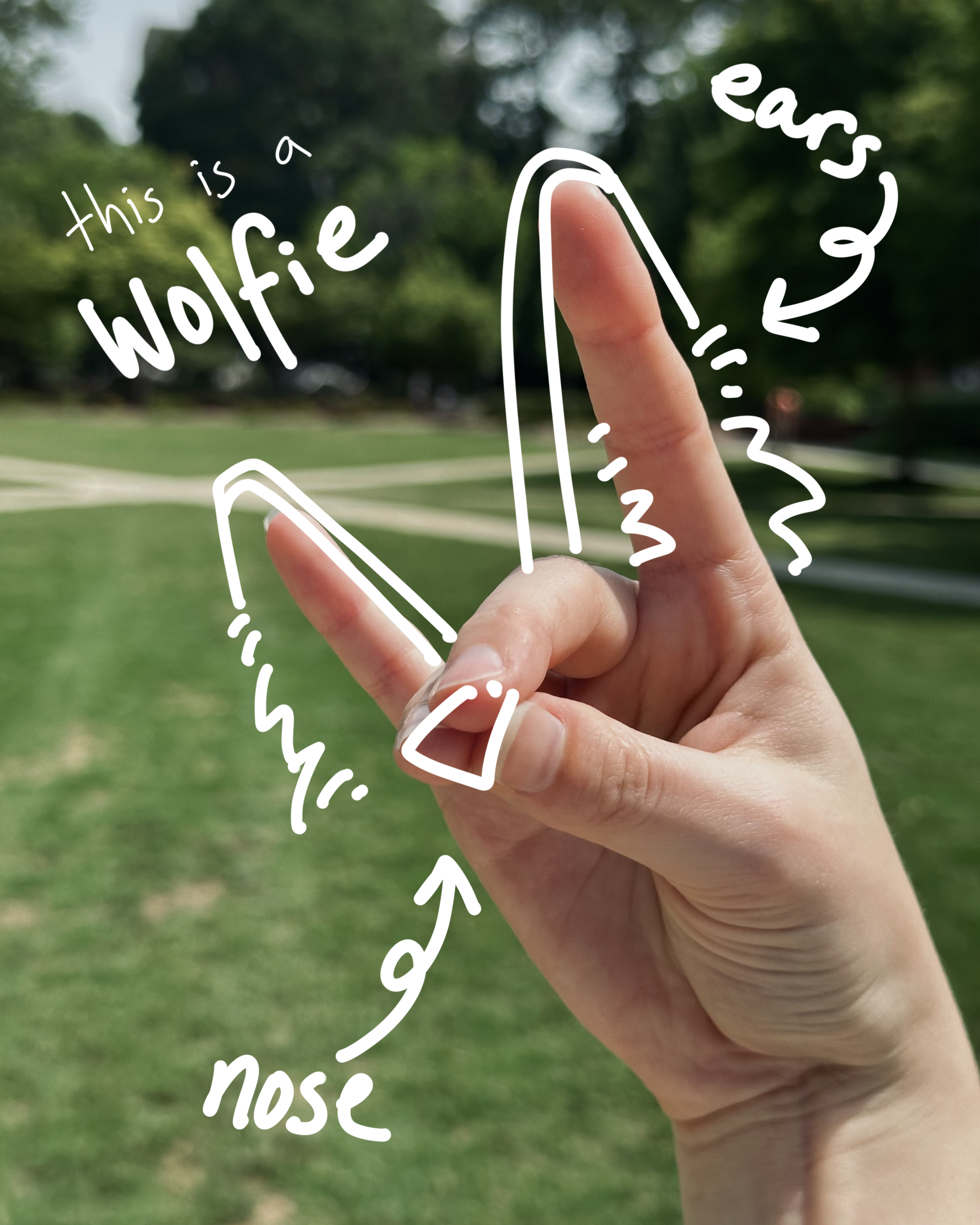IMG_4444.png