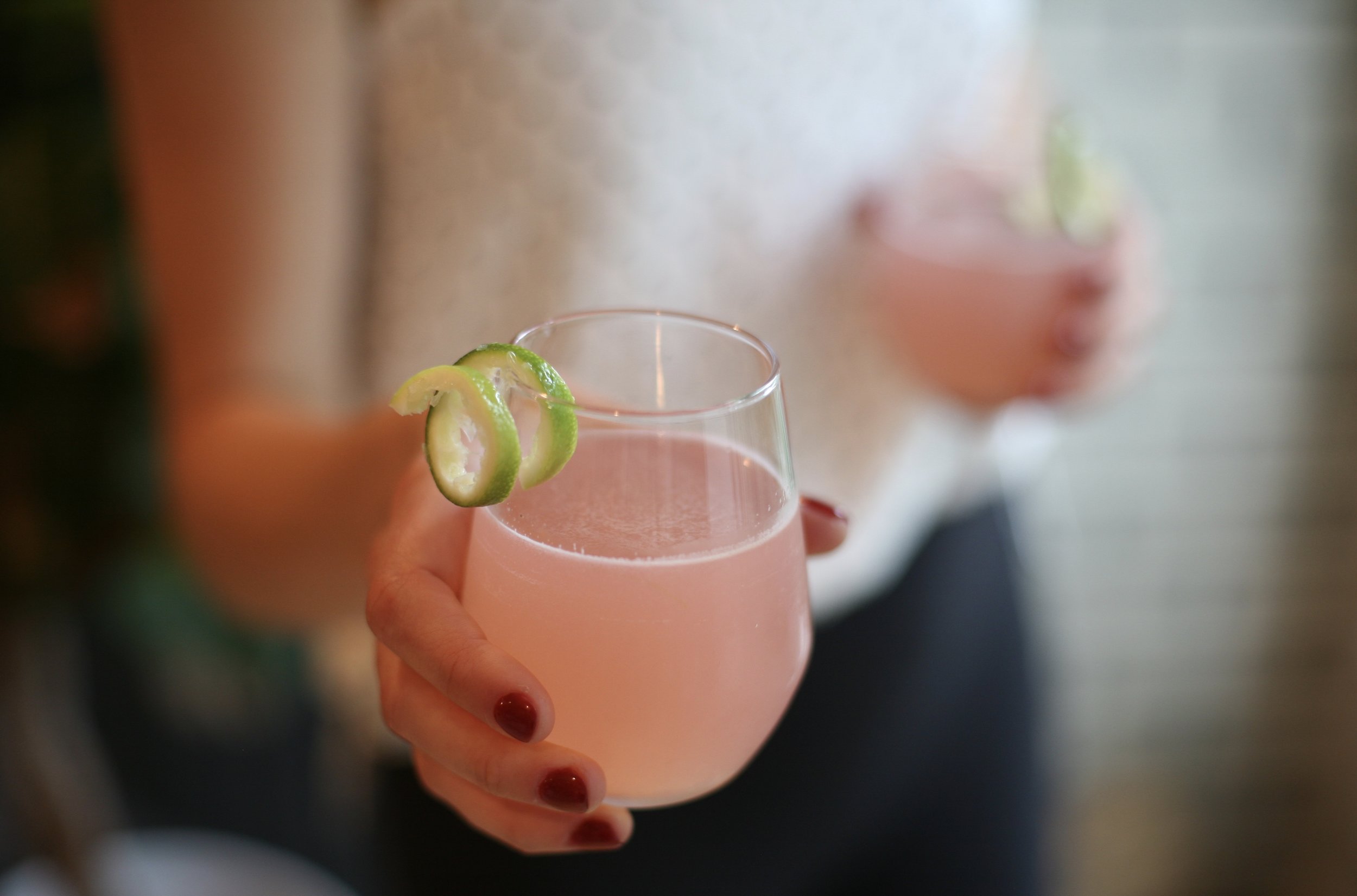 Rhubarb Gin Cocktail