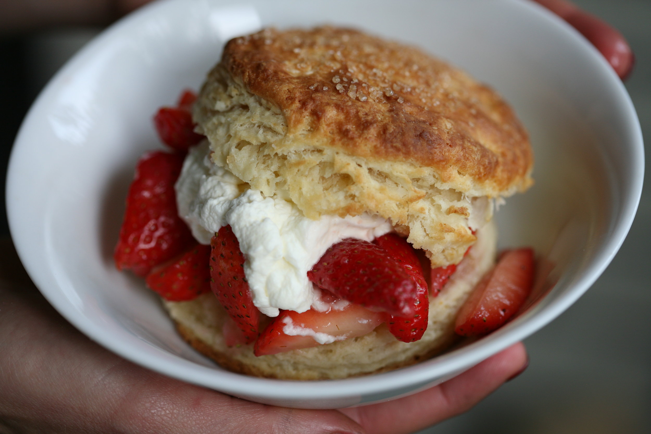 Strawberry Shortcake {The Sweet Biscuit of your Dreams}