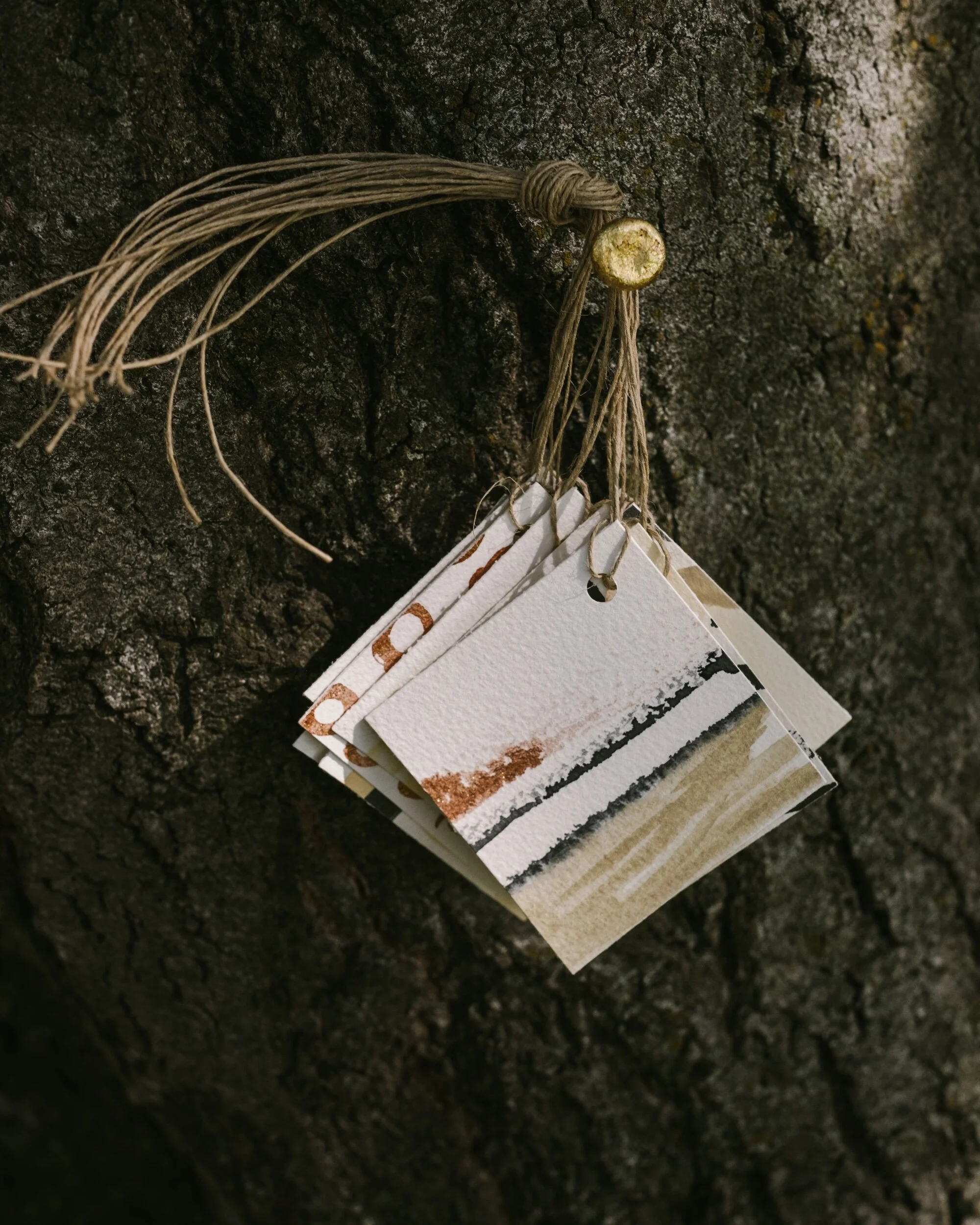 13100112-CEFC-4E9F-8160-6E770E3163A1