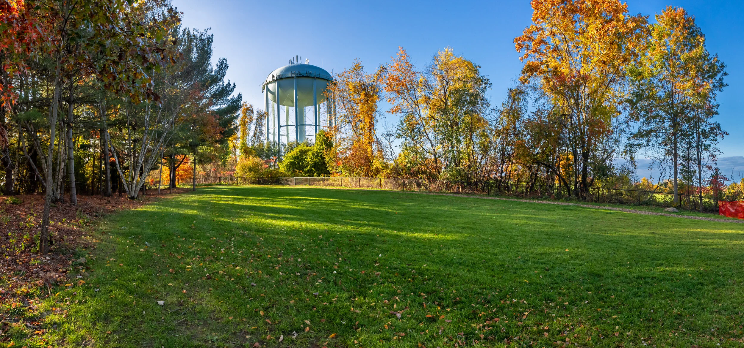 SH Dog Park---4.jpg