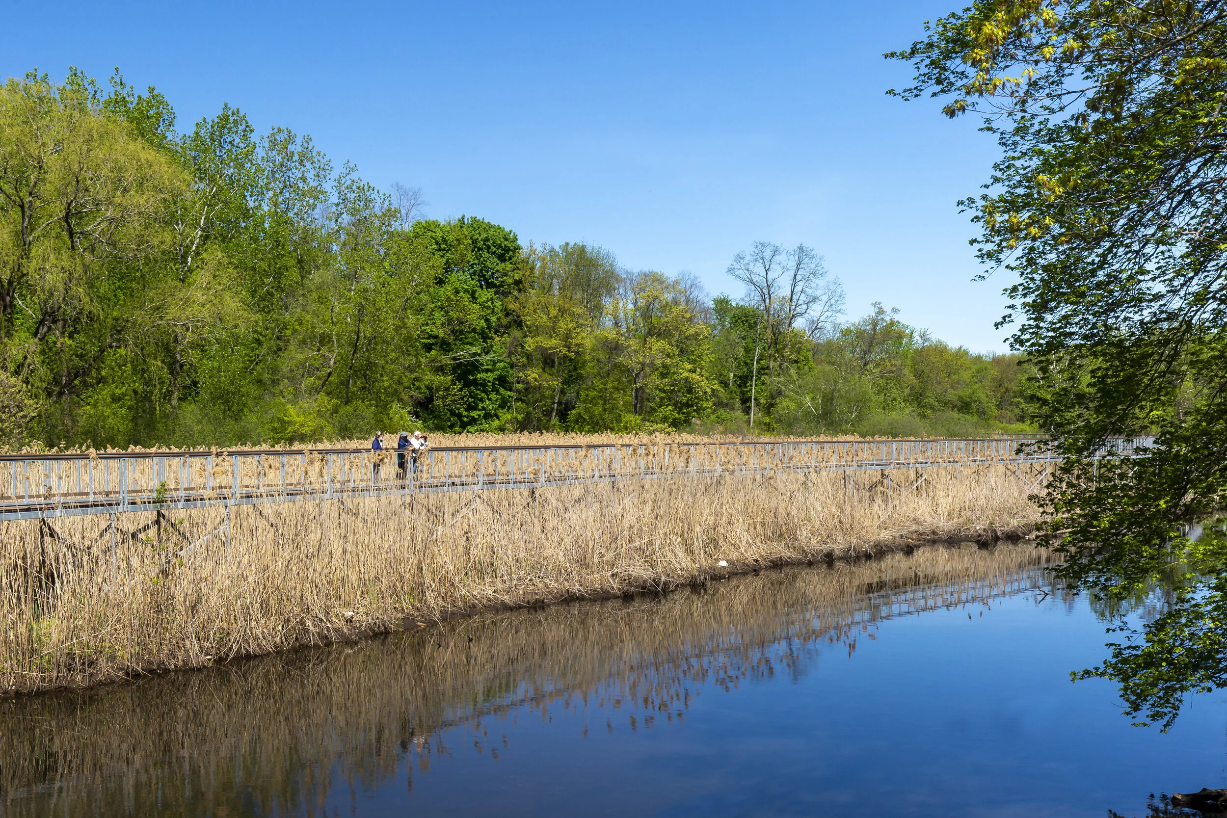 1 Blackstone Park spring-8704.jpg