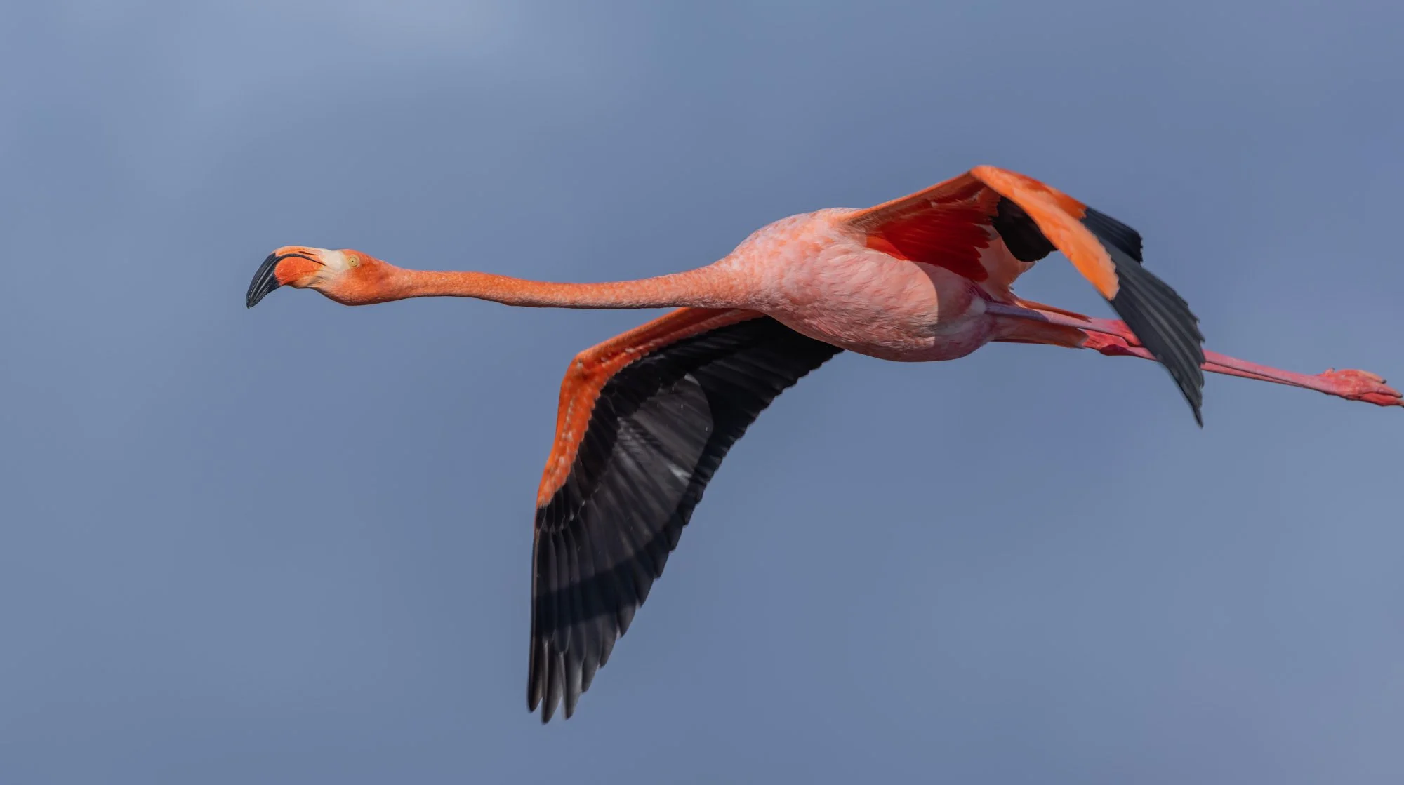 Galapagos Trip-67.JPG