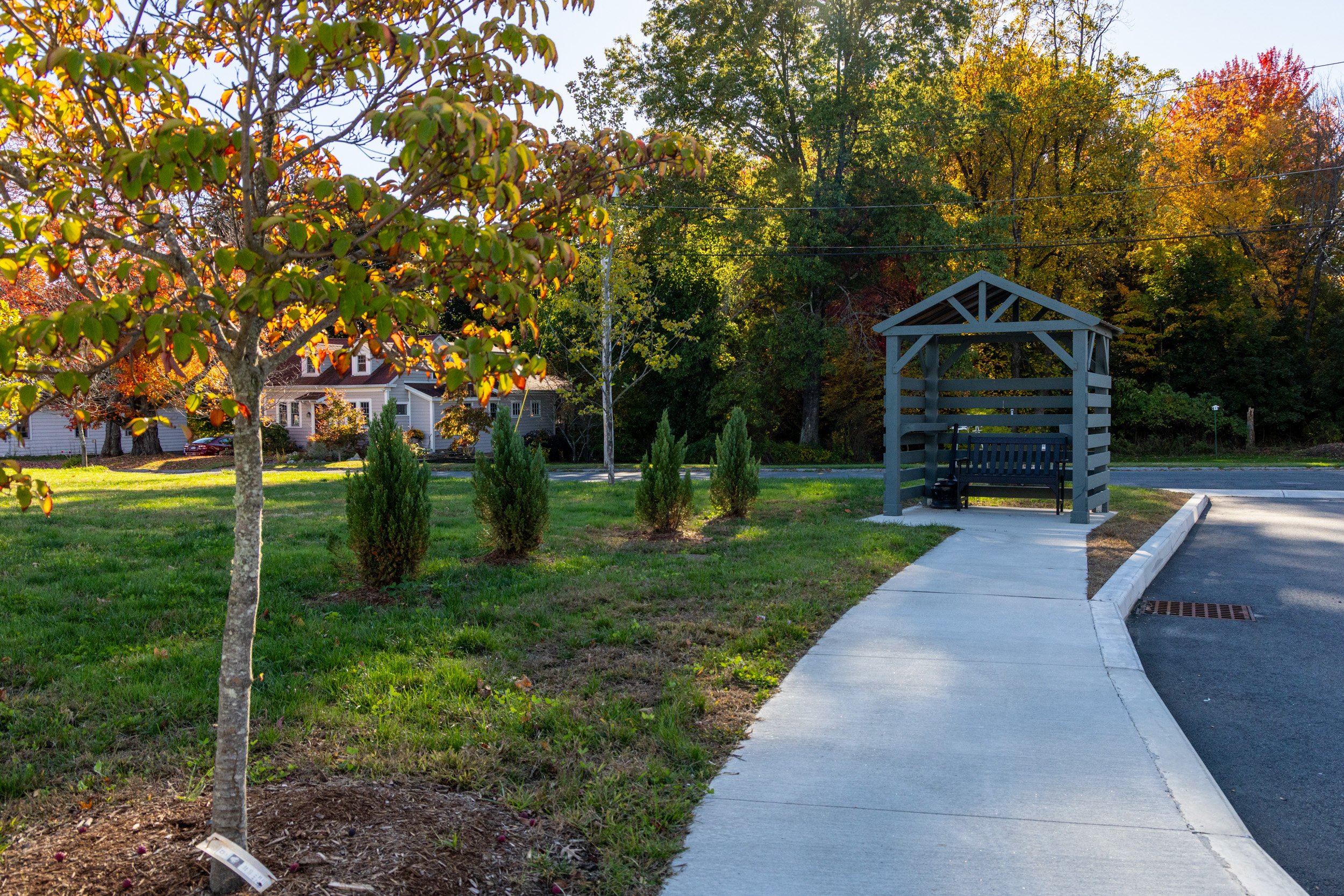 23 Laurel -3264.jpg