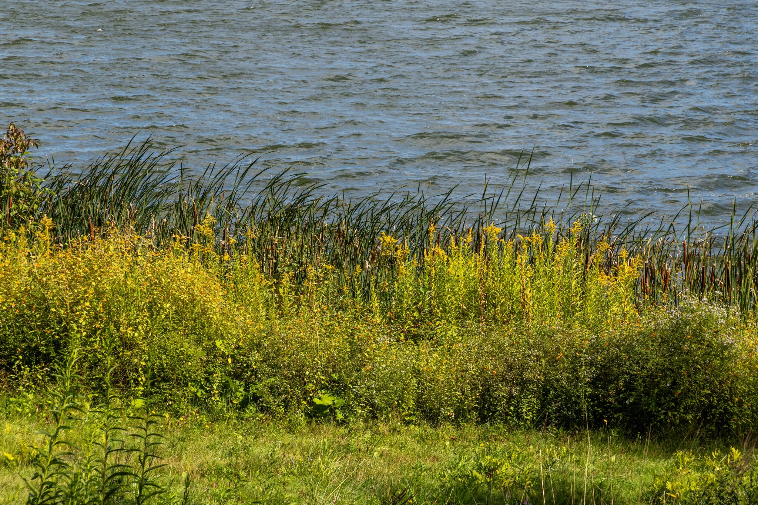 Pontoosuc Lake -0116.jpg