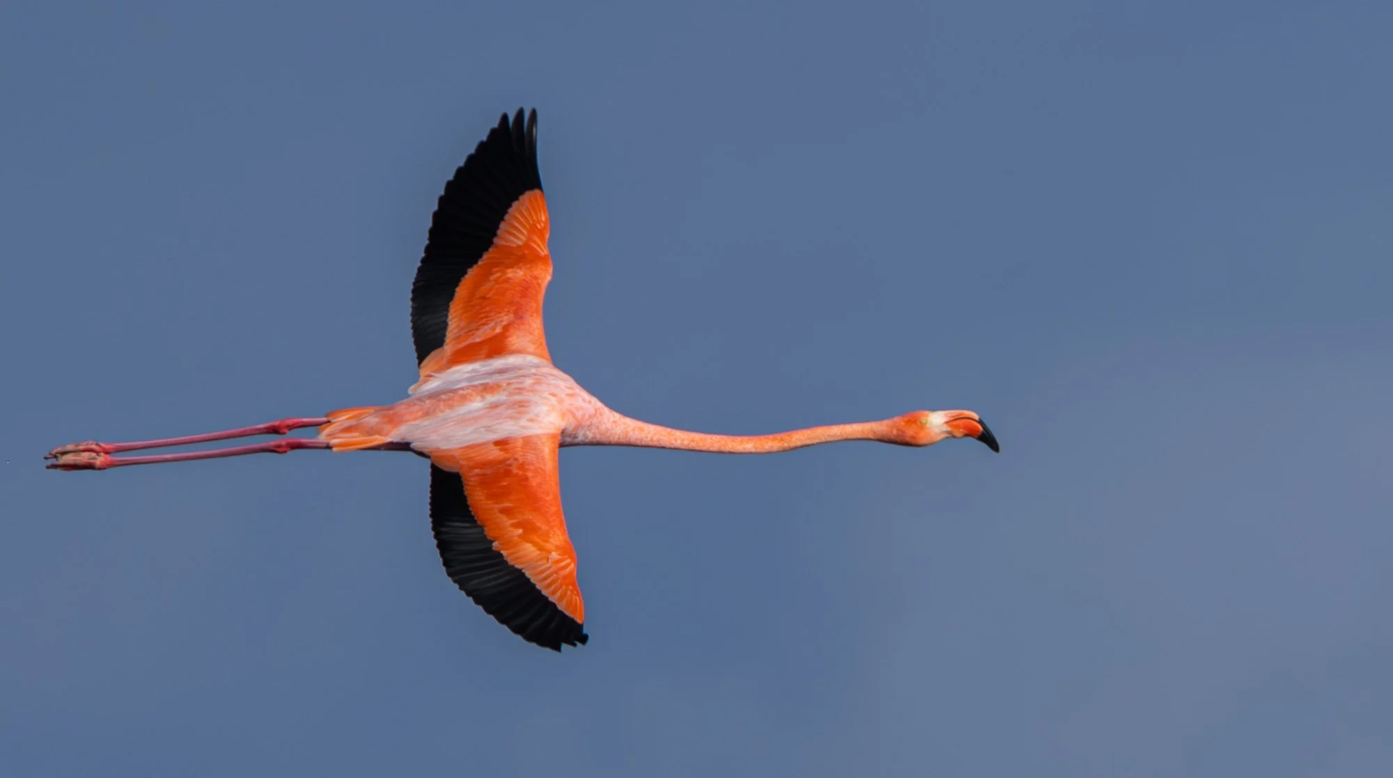 Galapagos Trip-57.JPG