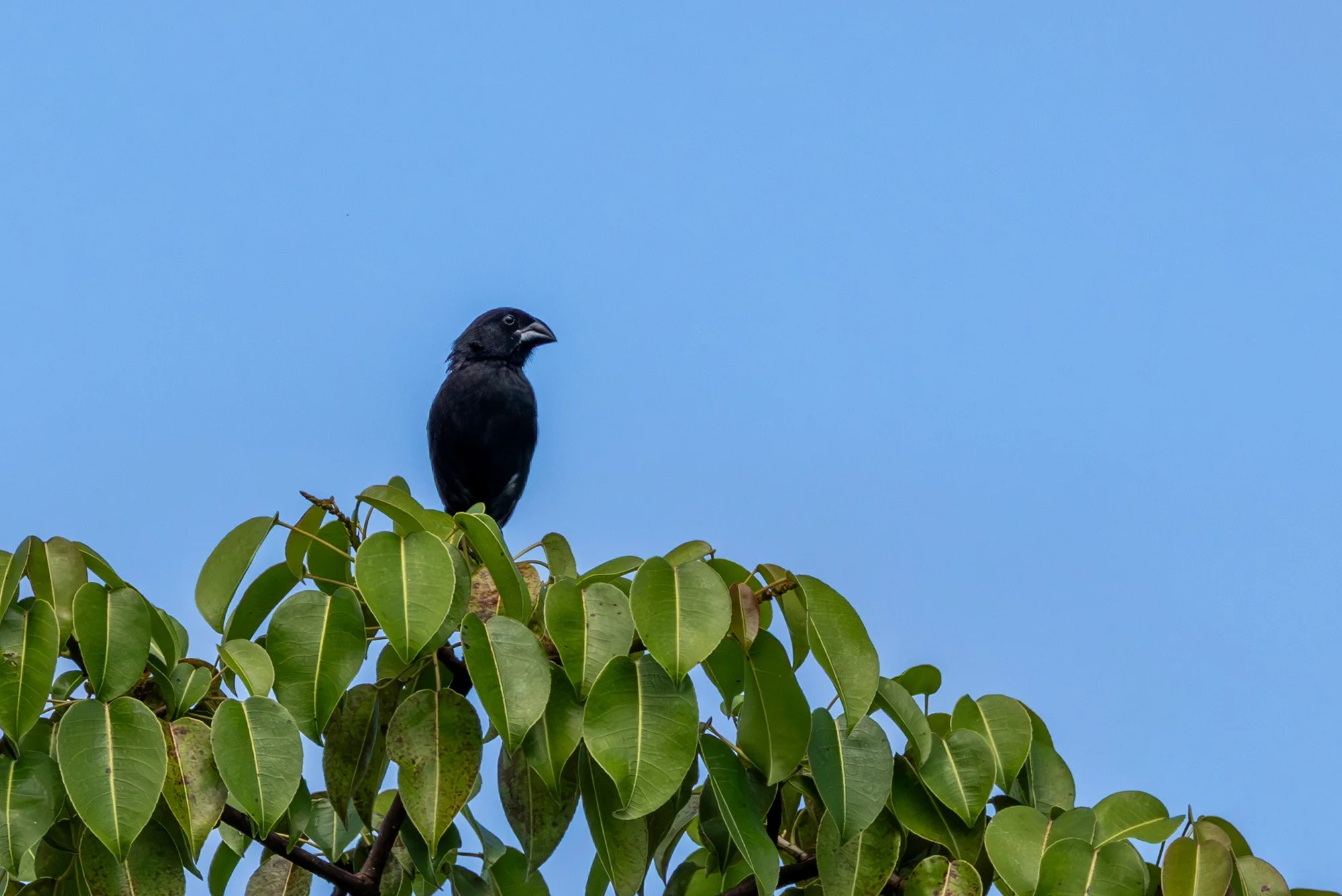 Galapagos Trip-286.JPG