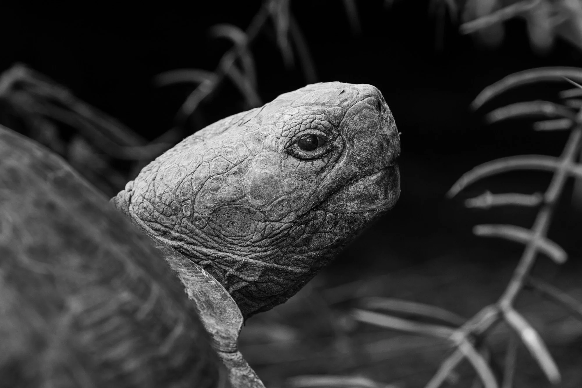 Galapagos Trip-287.JPG