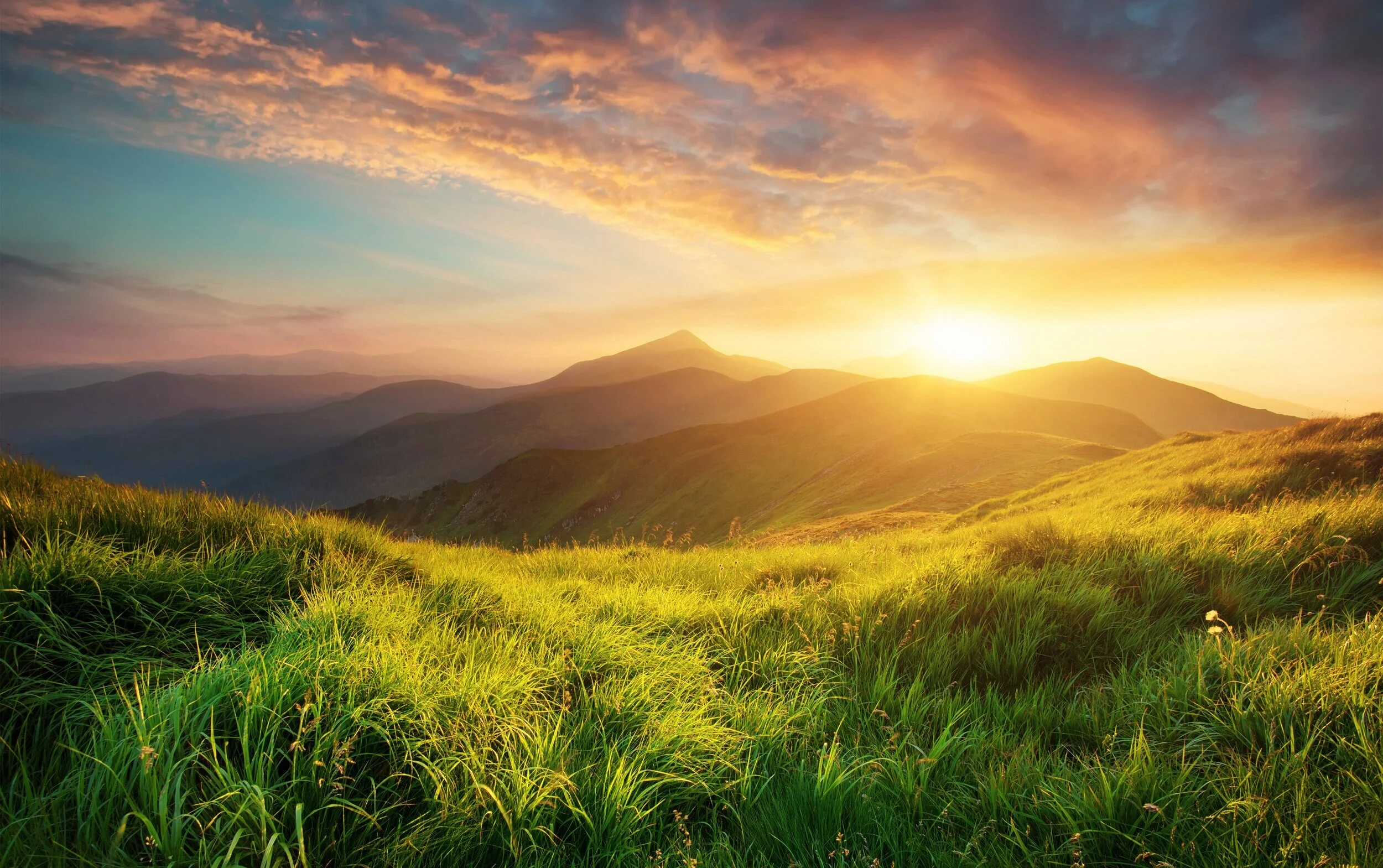 iStock-517188688.jpg