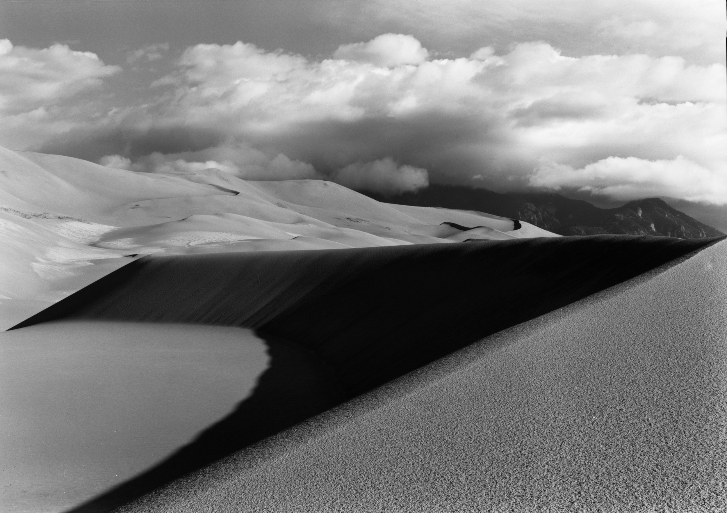 207.  Sand Dune #12