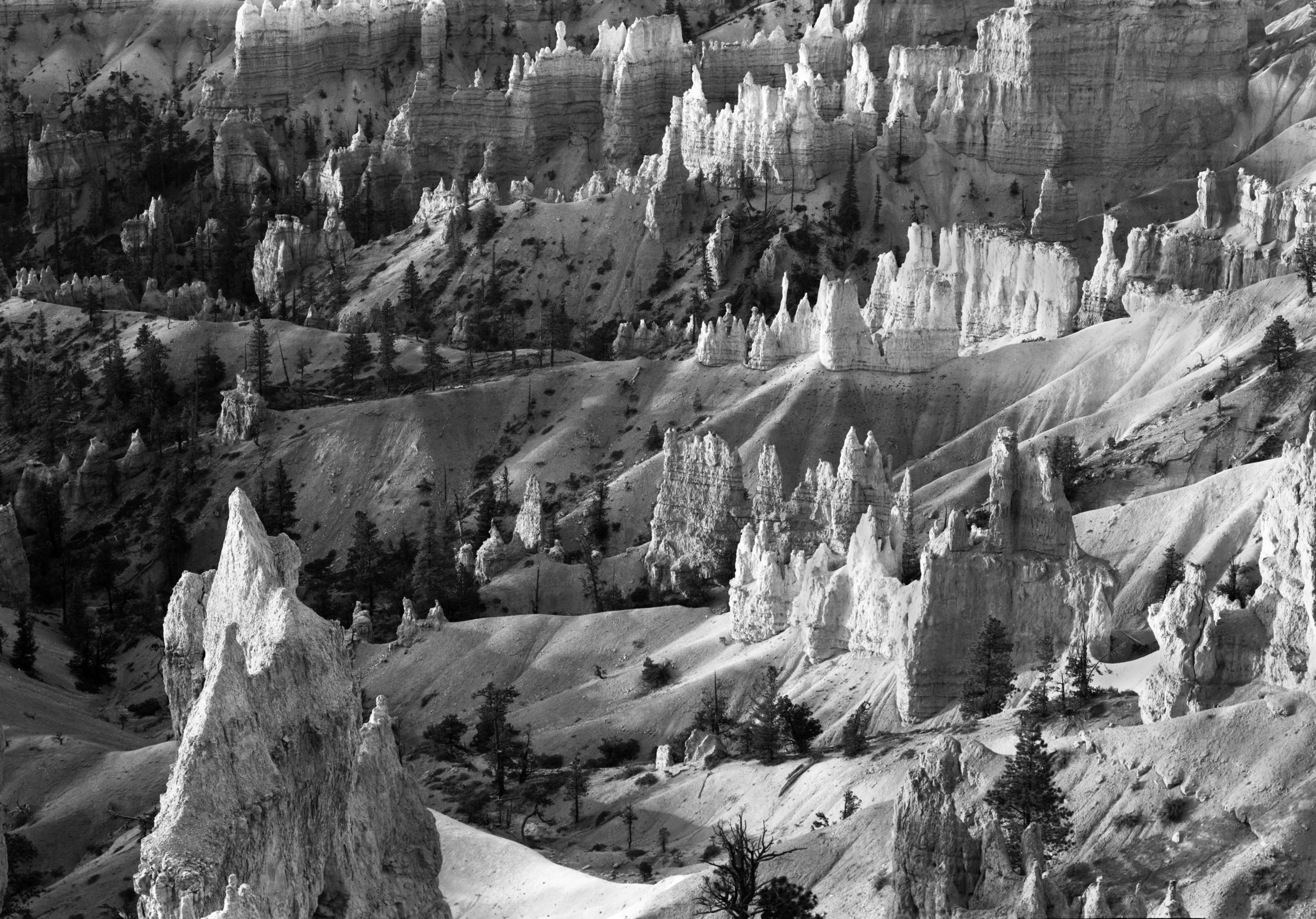 260.  Hoodos in Bryce Canyon