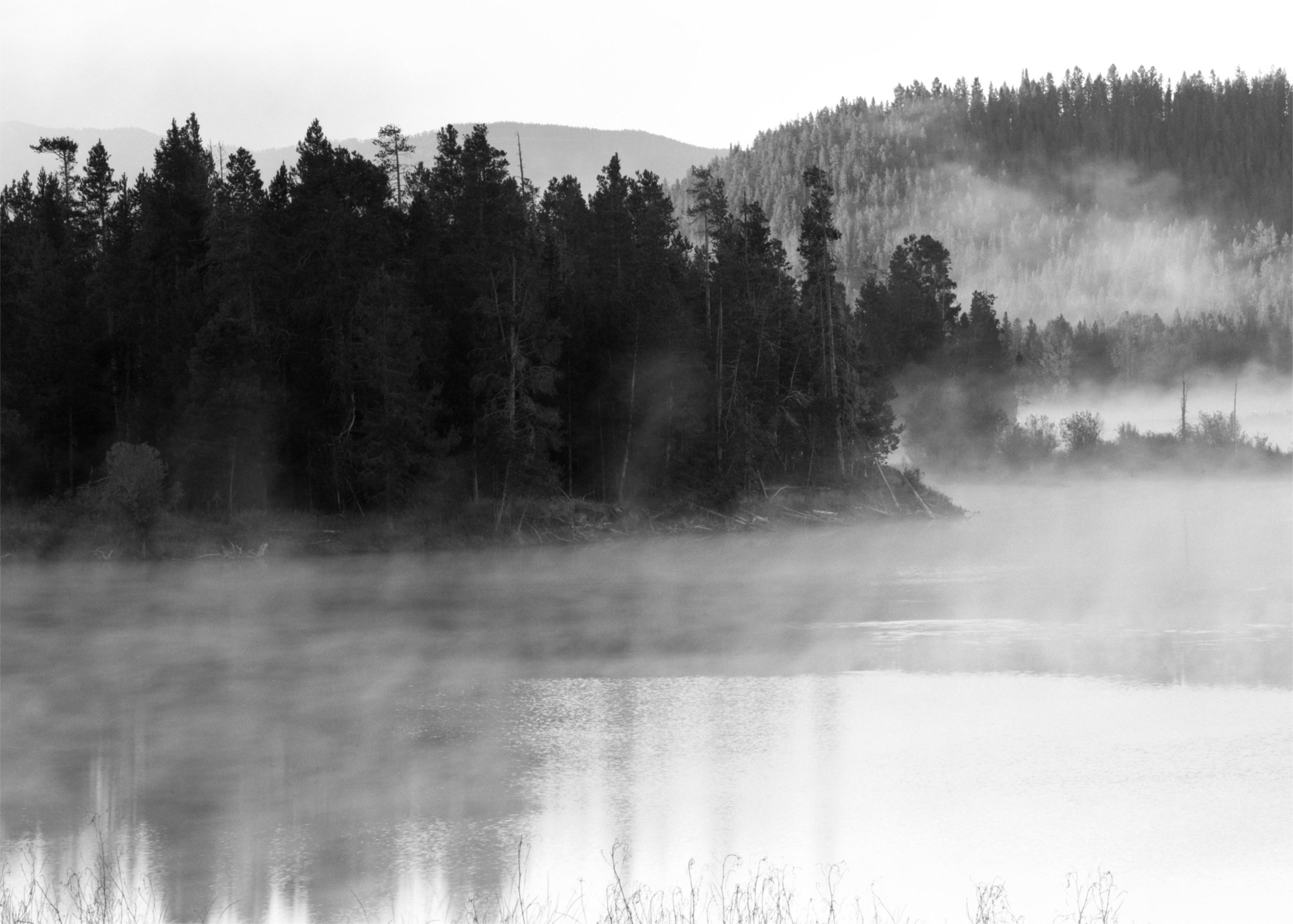 373. Oxbow Lake and Fog