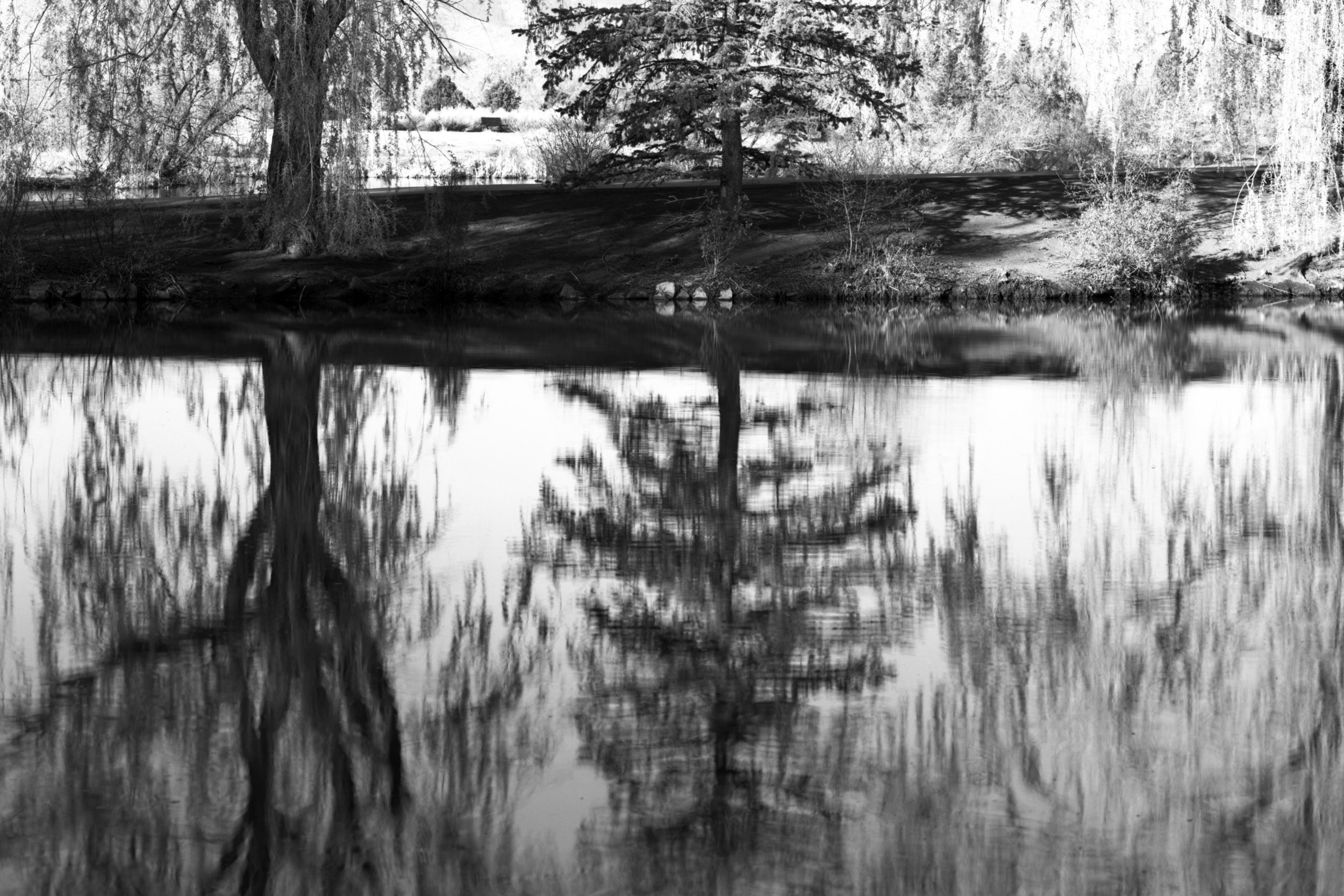 357.  Kountze Lake Reflections