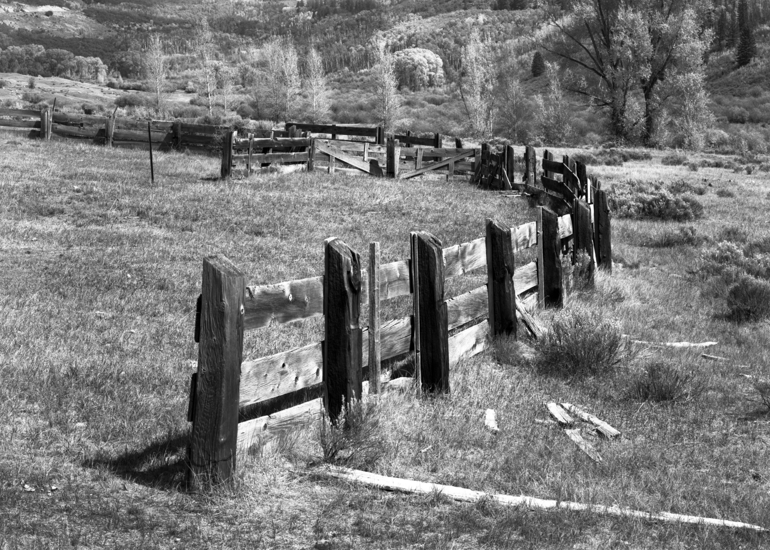 388.  Fence at McClure Pass