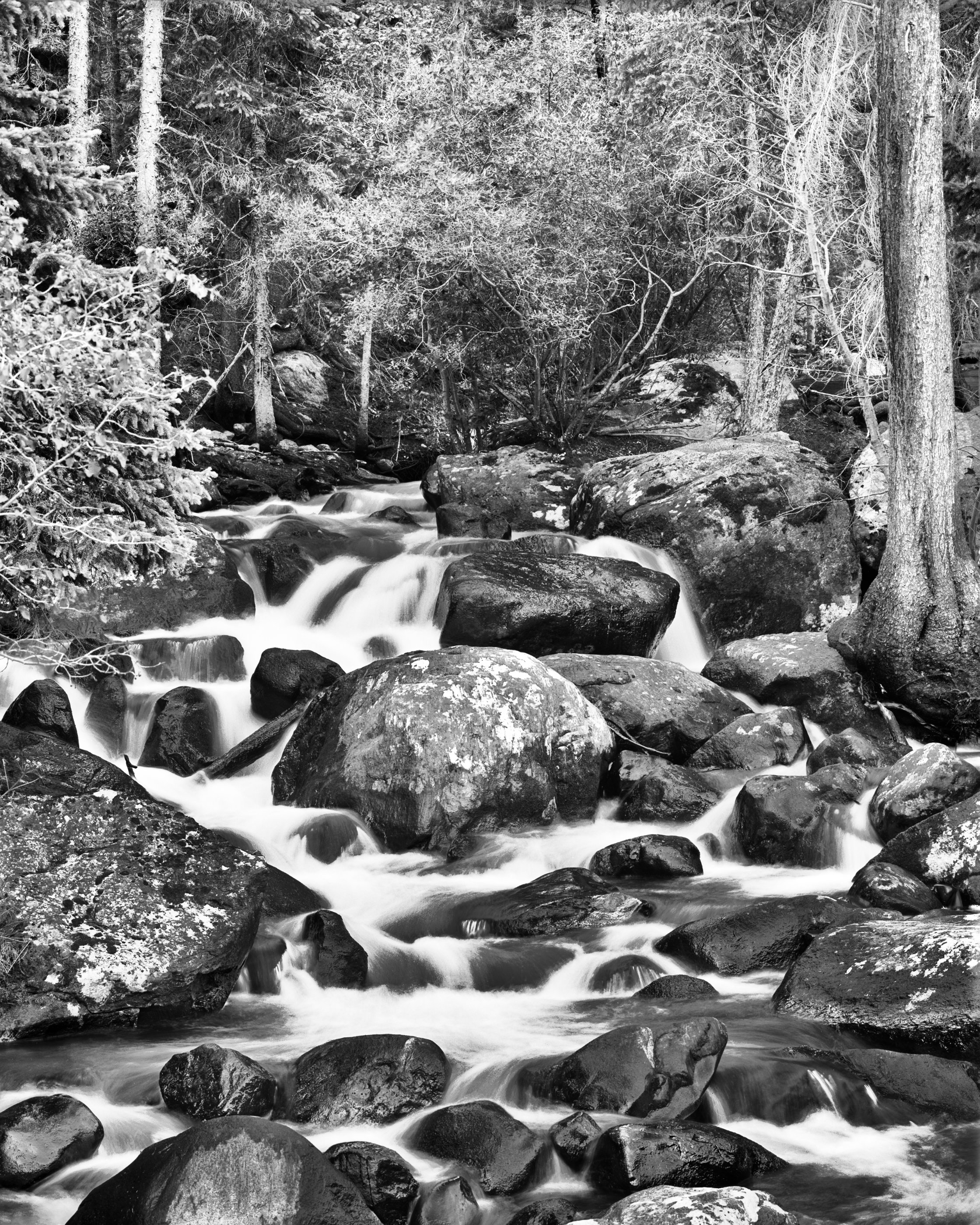 403.  Bear Creek Falls