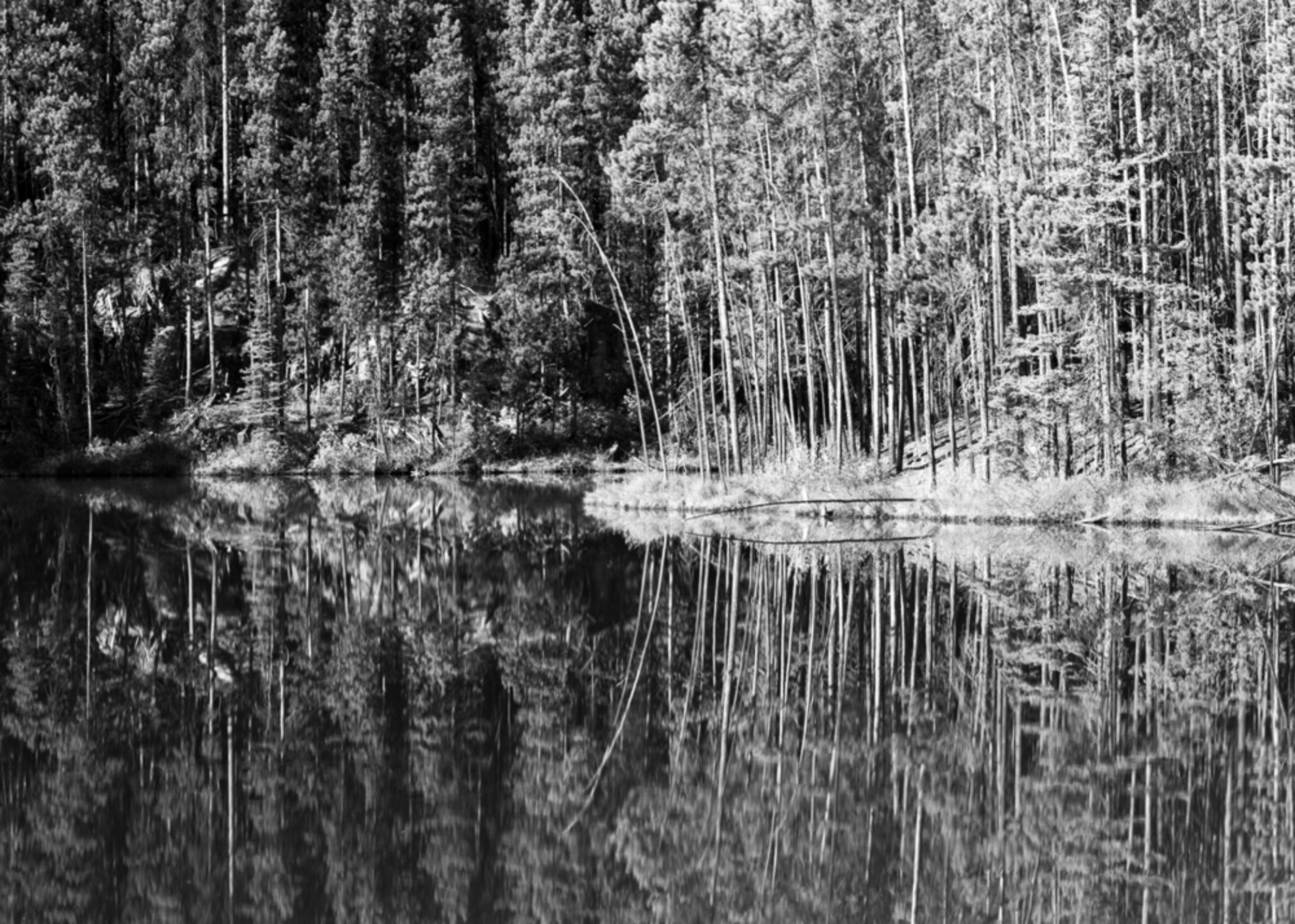 560.  Herbert Lake Reflections